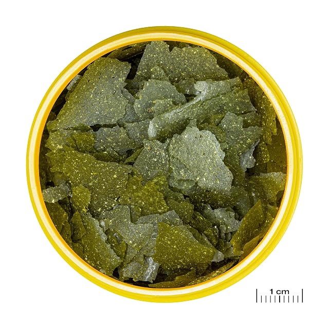 Foto 2 de 7 de JBL PRONOVO SPIRULINA Flakes, pienso Verde para Todos los Peces de Acuario de 8