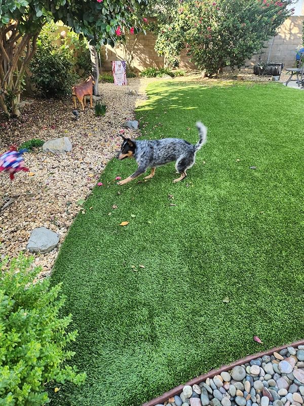 Pet Supplies QDAN Dog Toys Dog Balls, World Cup Dog Soccer Ball with Straps, Dog Birthday, Herding Ball, Durable Balls for Small Medium Pet, Puppy Outdoor Toy (6 Inch) : Review Image