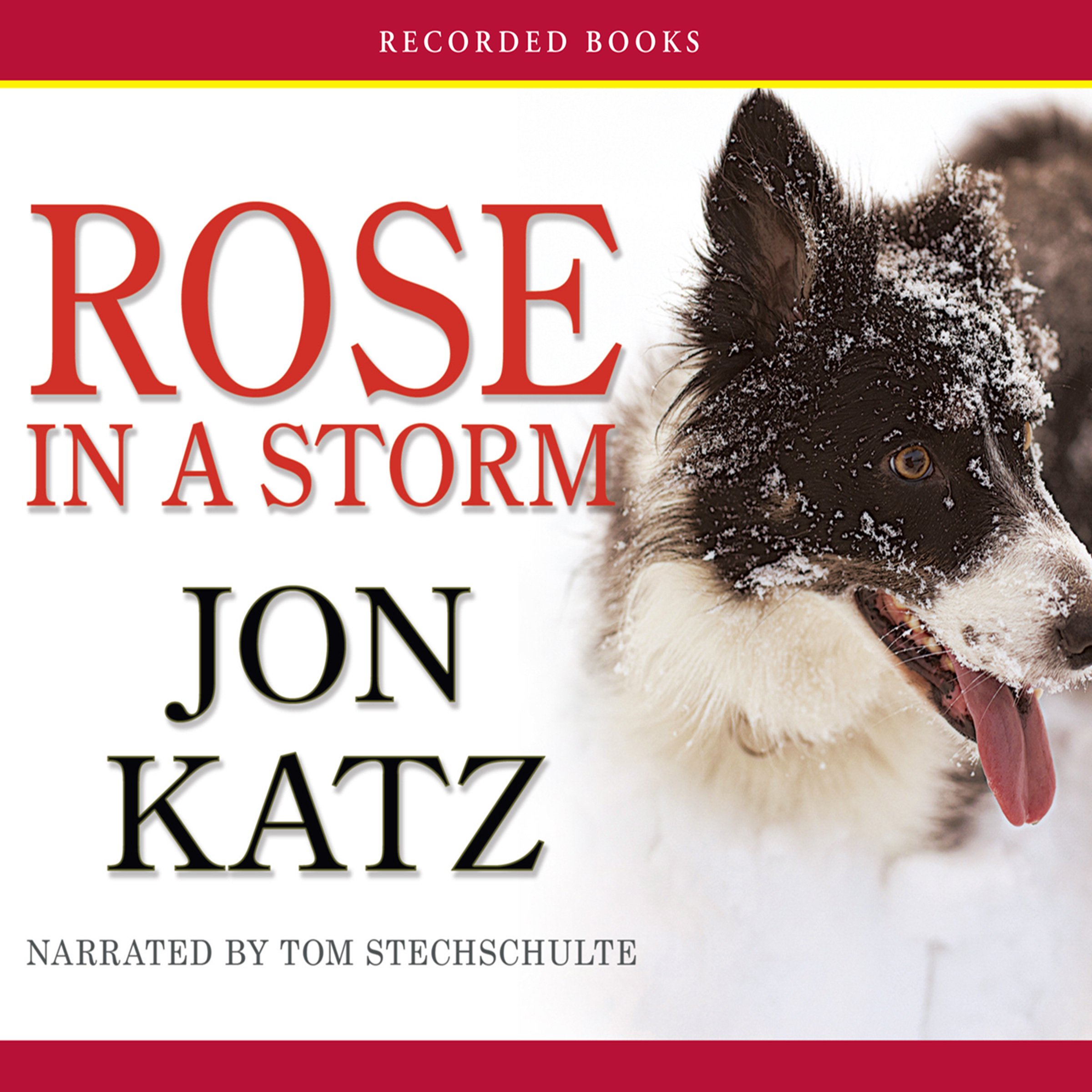 Cover art for Rose in a Storm