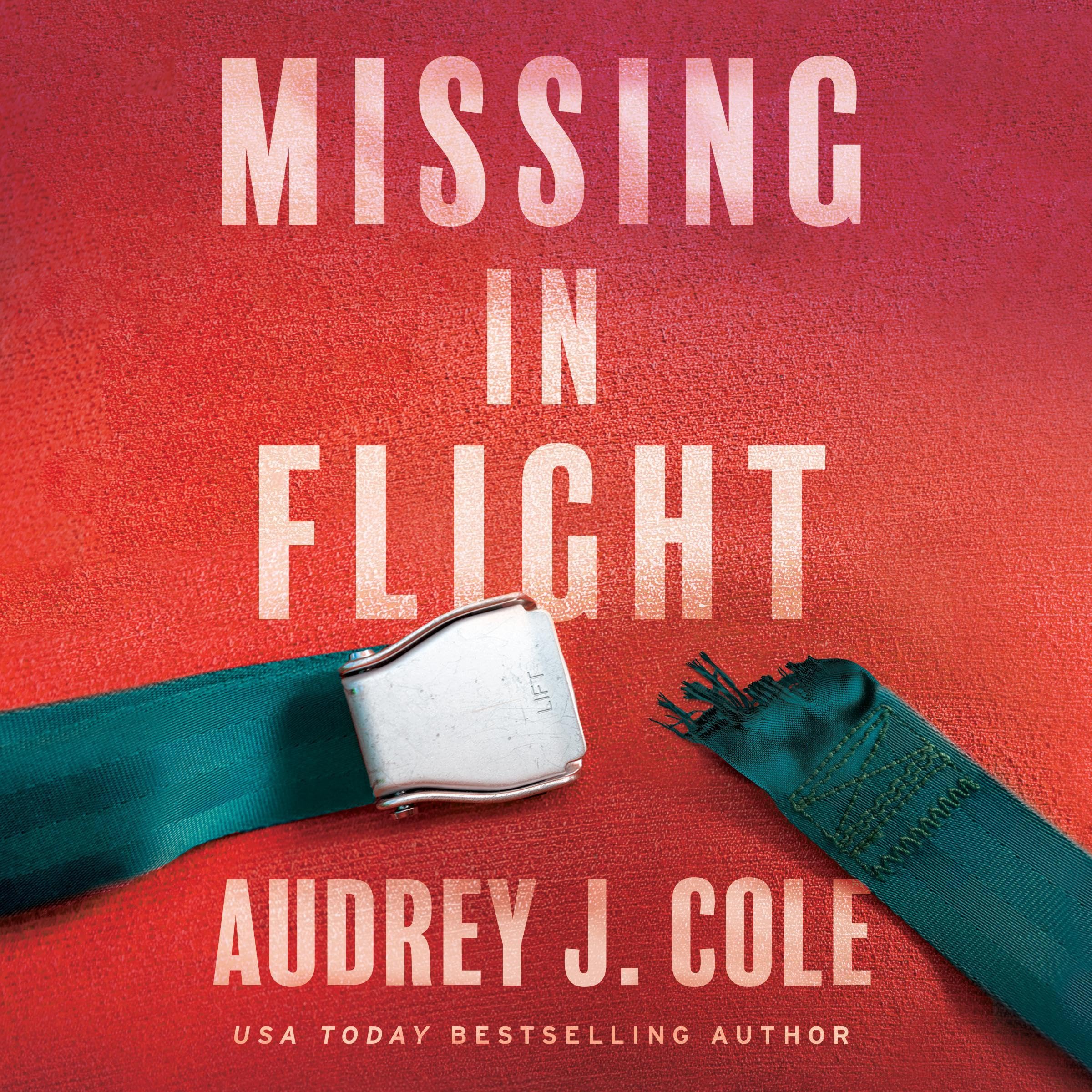 Cover art for Missing in Flight