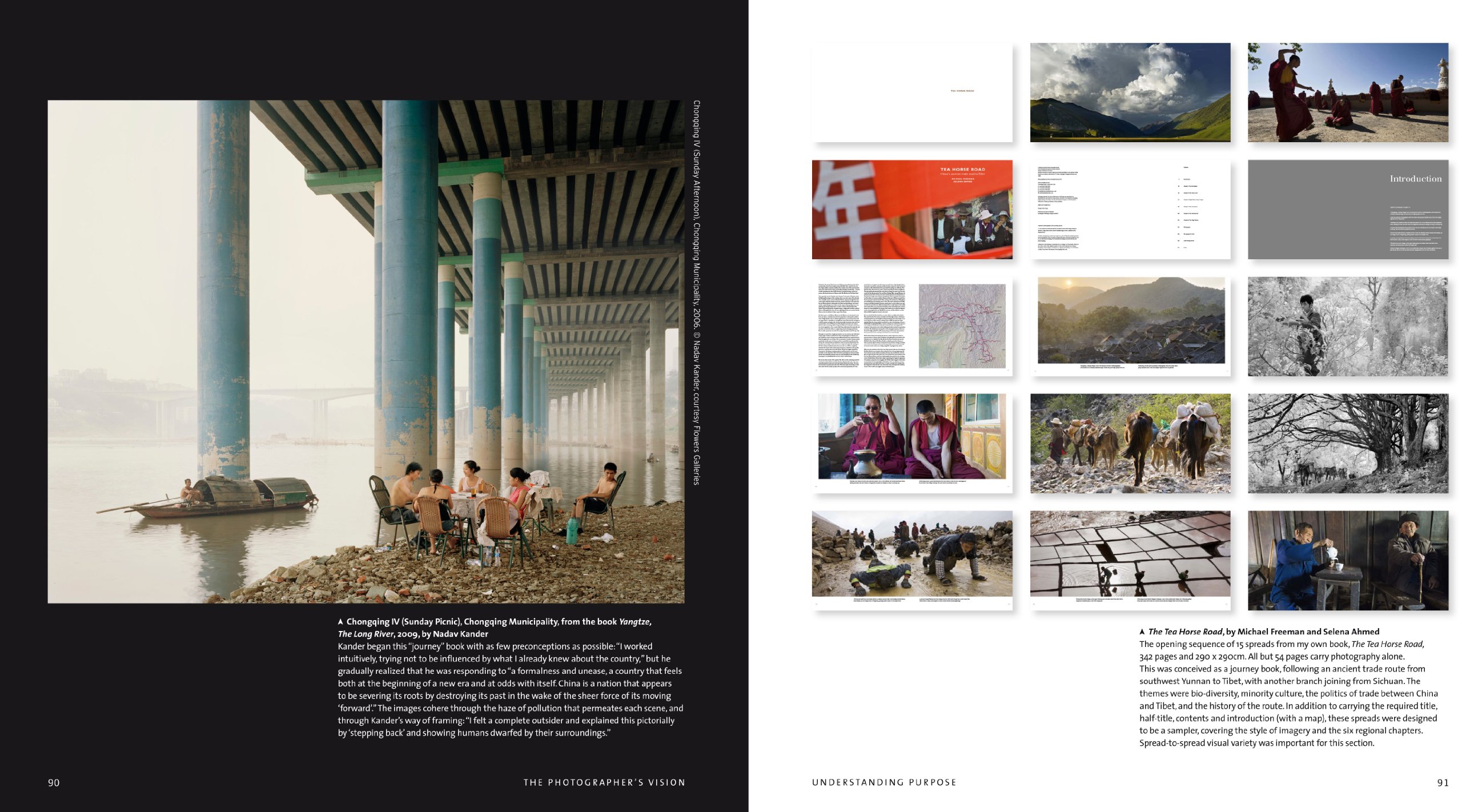 The Photographer's Vision: Understanding and Appreciating Great Photography (The Photographer's Eye)