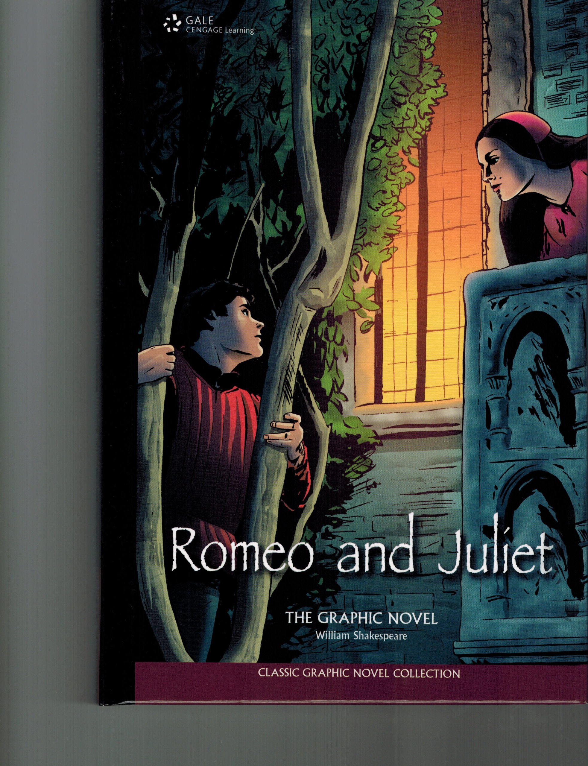 Romeo and Juliet: The Graphic Novel (Classic Graphic Novels)