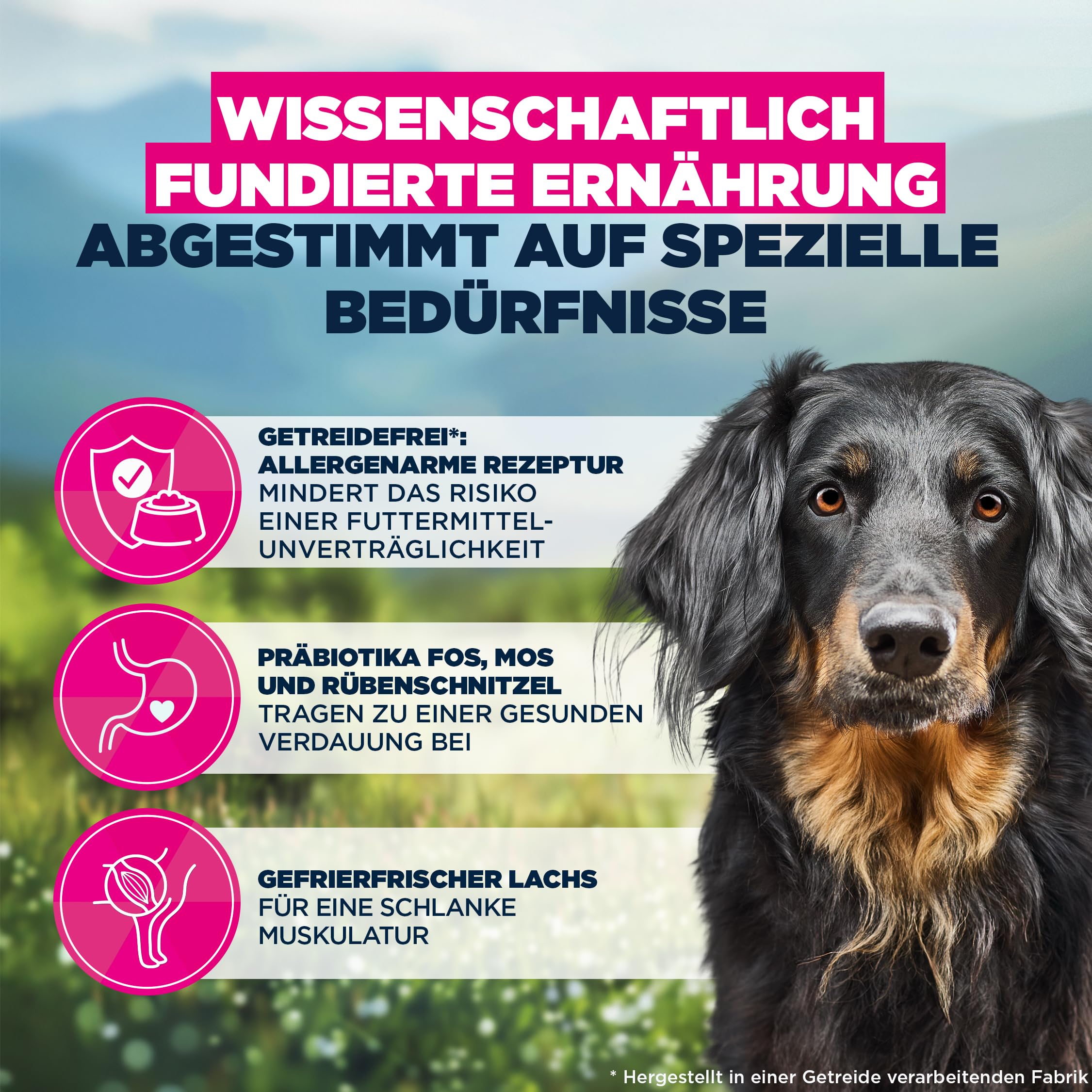 Eukanuba Mono-Protein Lachs Hundefutter - Special Care Trockenfutter mit nur Lachs als tierischem Protein, allergenarme Rezeptur, 12 kg