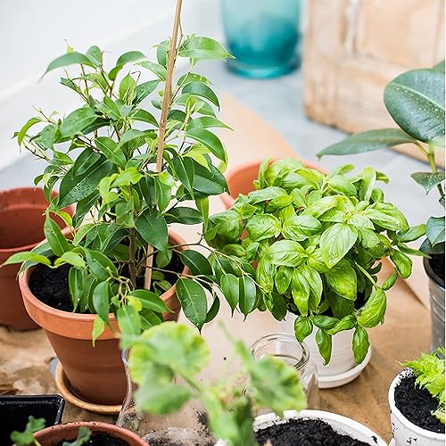 Miniatura 5 de Pllieay 20 estacas de bambú de 18 pulgadas, varillas de bambú natural, estacas de bambú para plantas de interior y exterior, estacas de apoyo para
