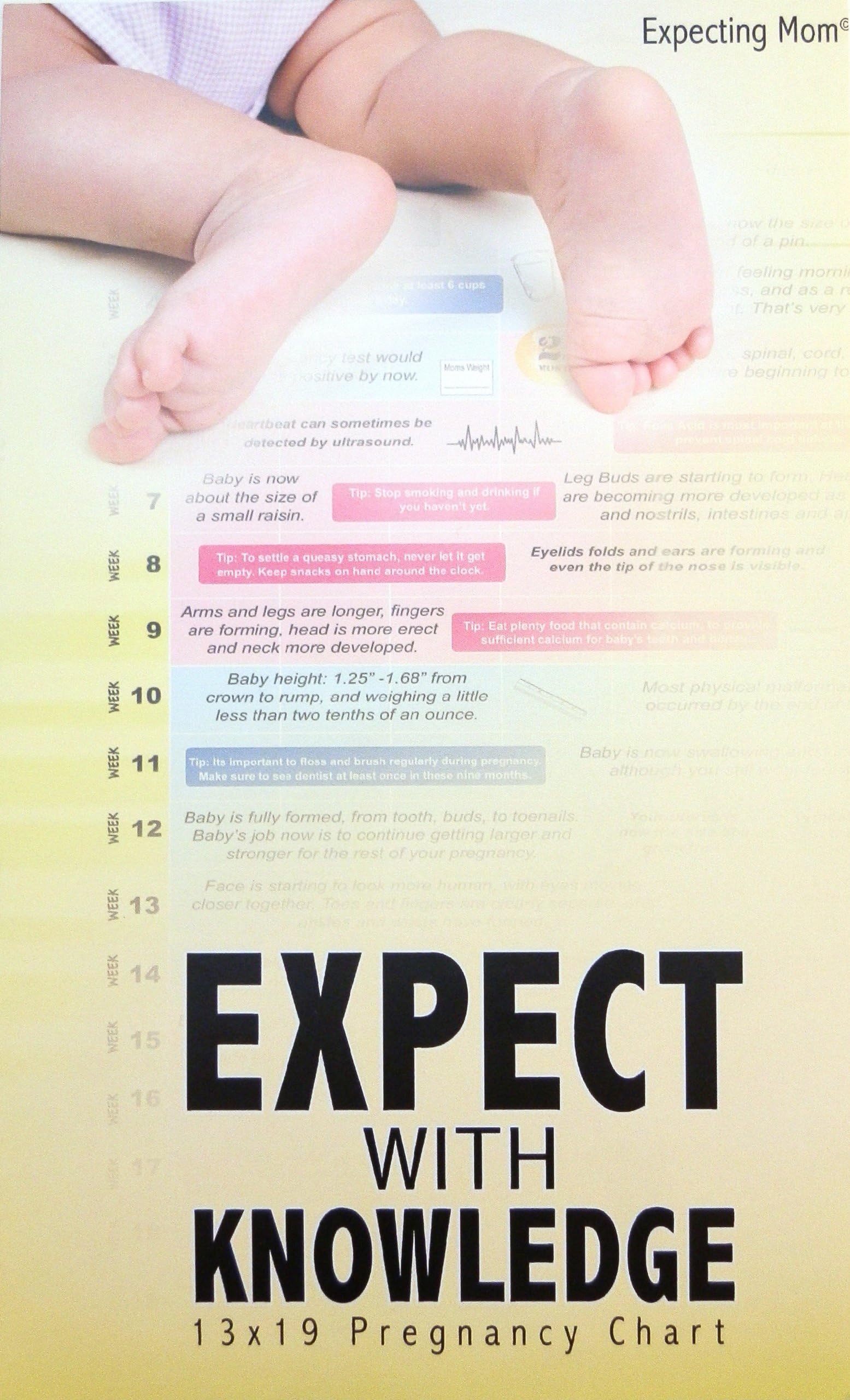Expect with Knowledge - Informative Wall Calendar - Pregnancy Chart