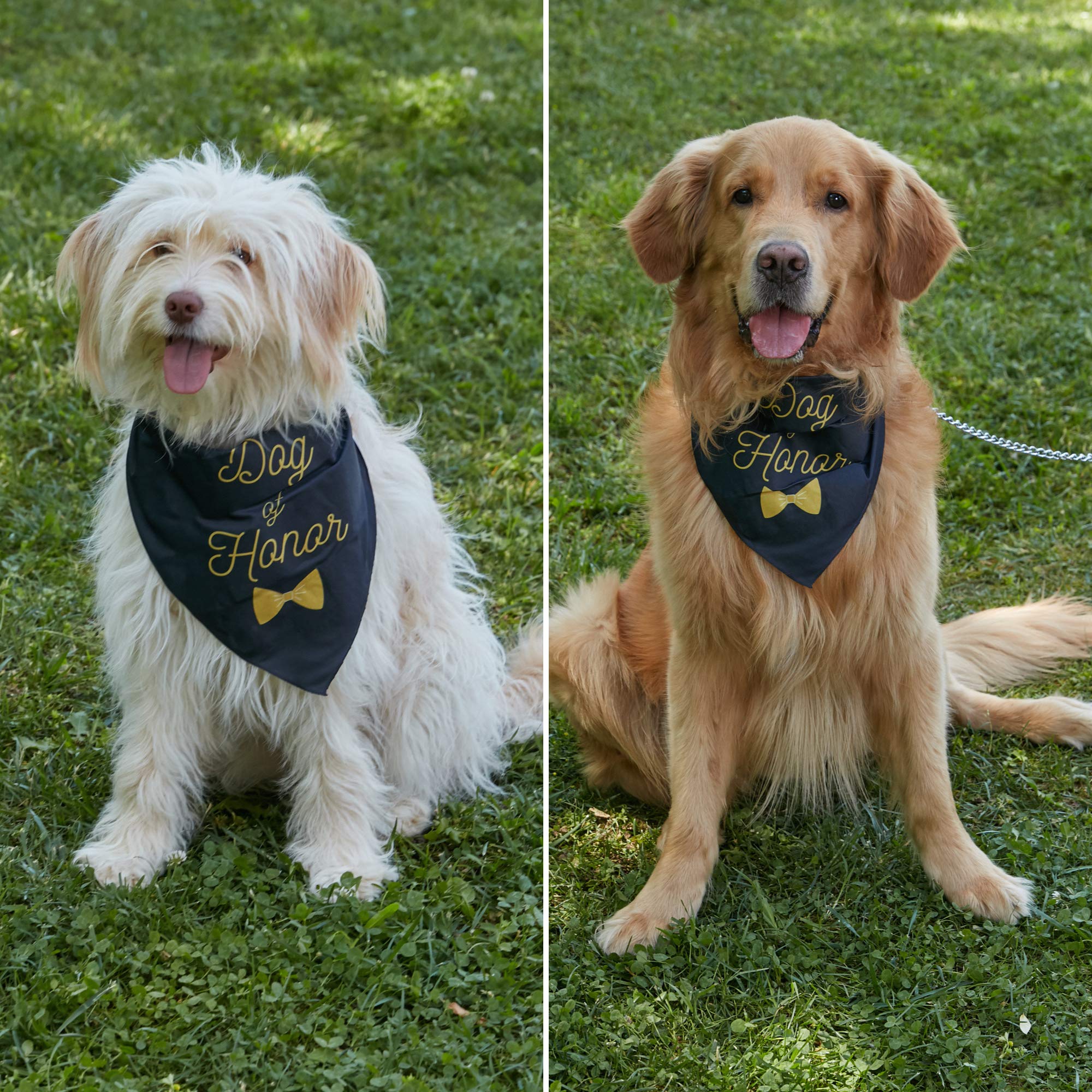 Hunde-Halstuch „Ring Security“ – Süßes Verlobungs- & Hochzeits-Accessoire Für Hunde, Verstellbar, Weicher Stoff