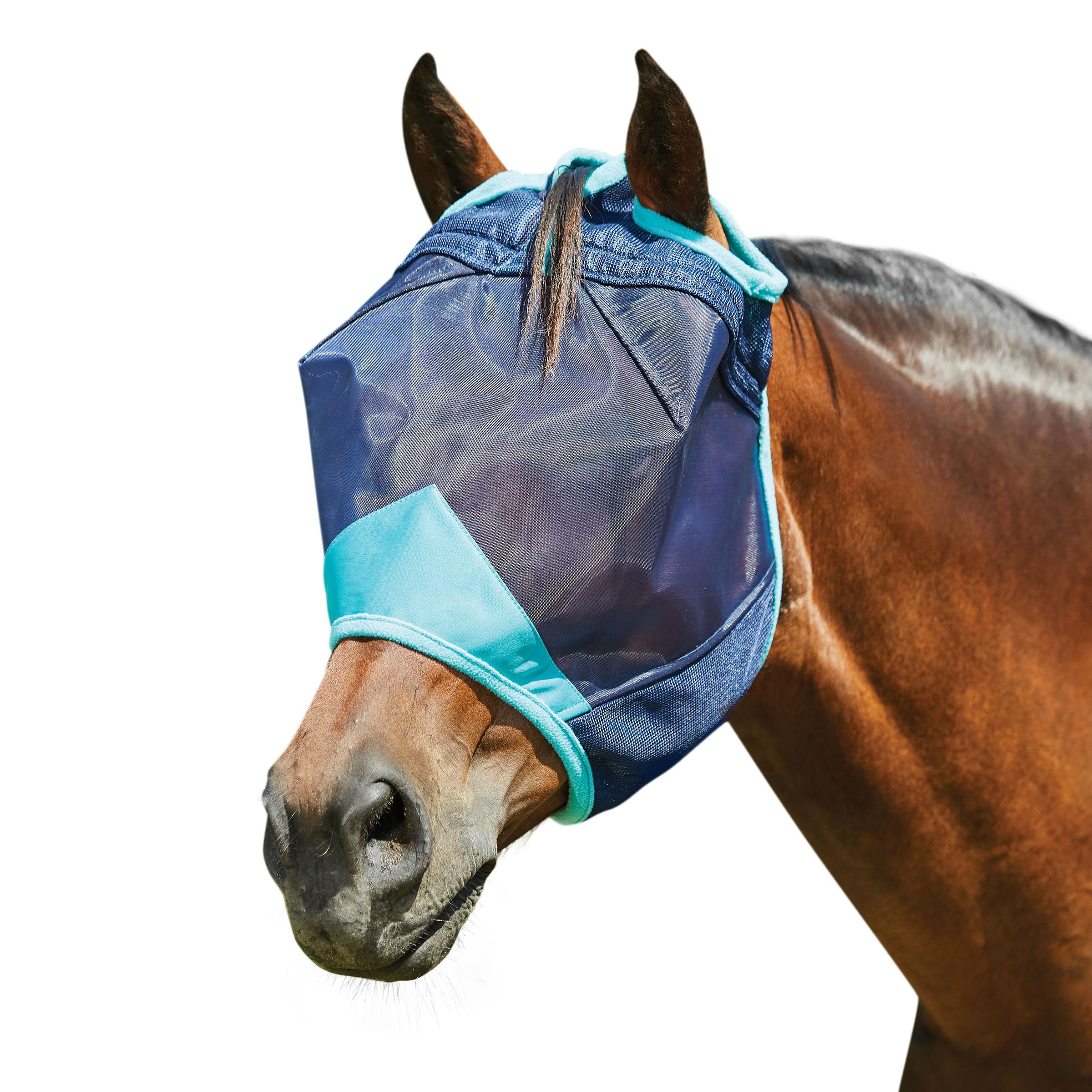 WeatherBeeta ComFiTec Deluxe Fine Mesh Mask, Navy/Turquoise, Pony