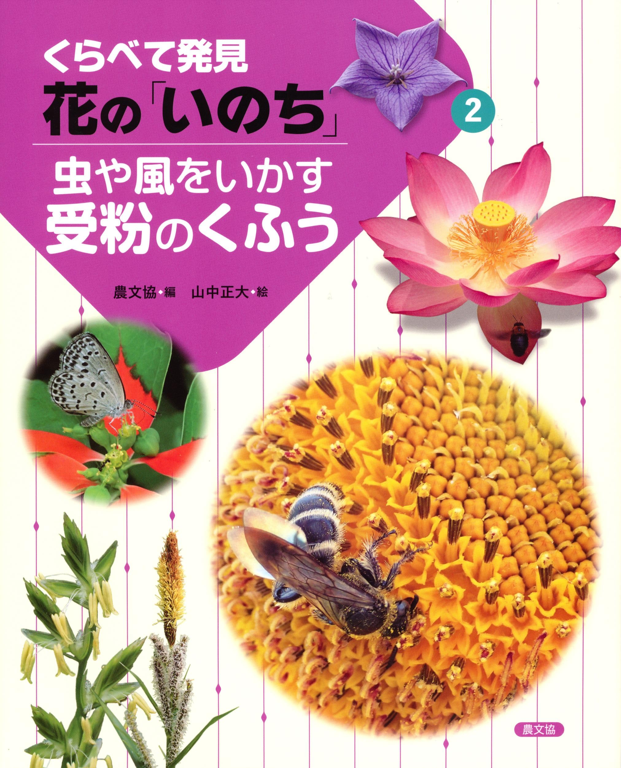 虫や風をいかす受粉のくふう (2) (くらべて発見花の「いのち」 2