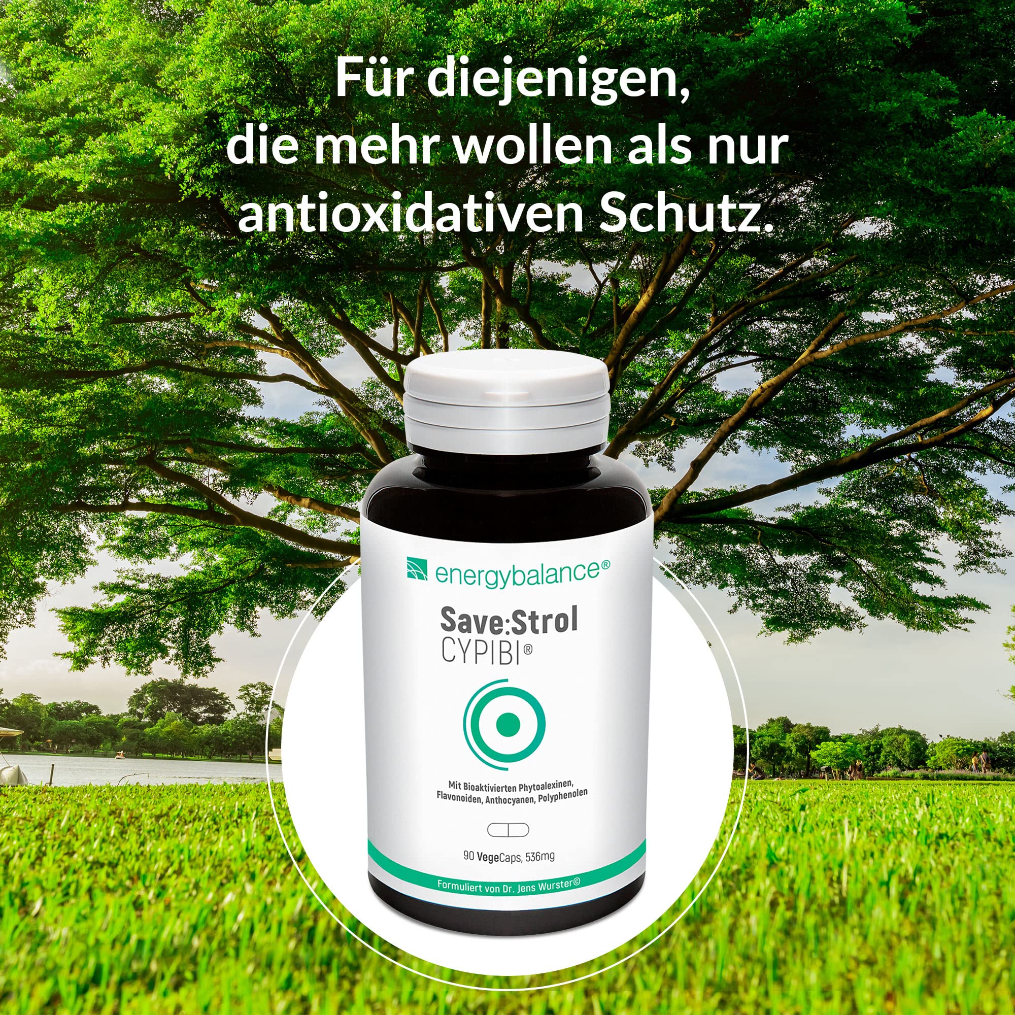 EnergyBalance Save:Strol CYPIBI - Kapseln mit Polyphenolextrakt und Anthocyane aus Heidelbeerextrakt - Pflanzlich, Natürlich - Qualität aus der Schweiz - 90 VegeCaps à 536 mg