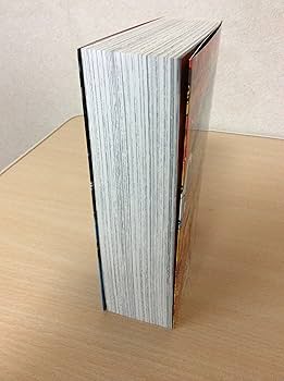 冒険王　切り抜き　仮面ライダーV3　ライオン丸　9枚 冒険王 切り抜き 仮面ライダーV3 ライオン丸 9枚