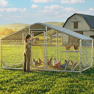 10X6.5 FT Metal Chicken Coop with Perch & Ladder for 5-10 Chikens, Walk-in Chicken Run with Oxford Cloth Rainproof & Anti-UV Cover, Chicken Coops with Dutch Door Poultry Outdoor Yard