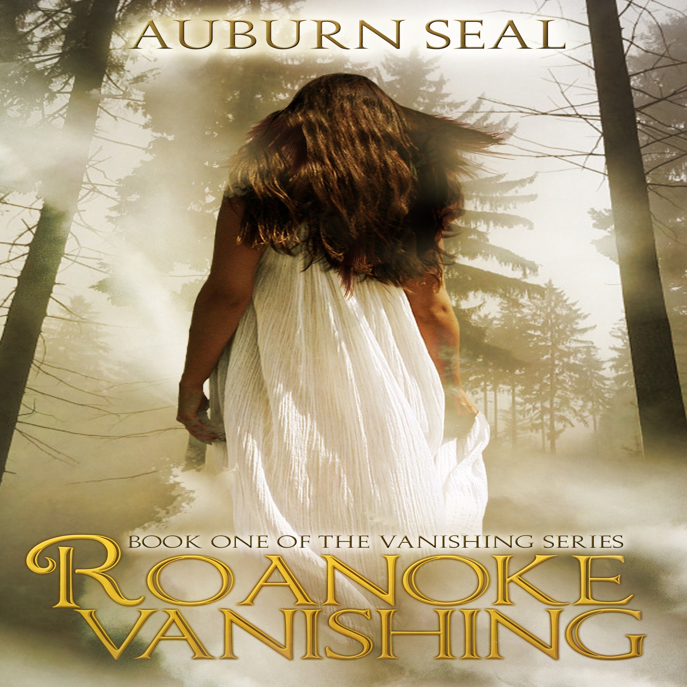 Cover art for Roanoke Vanishing