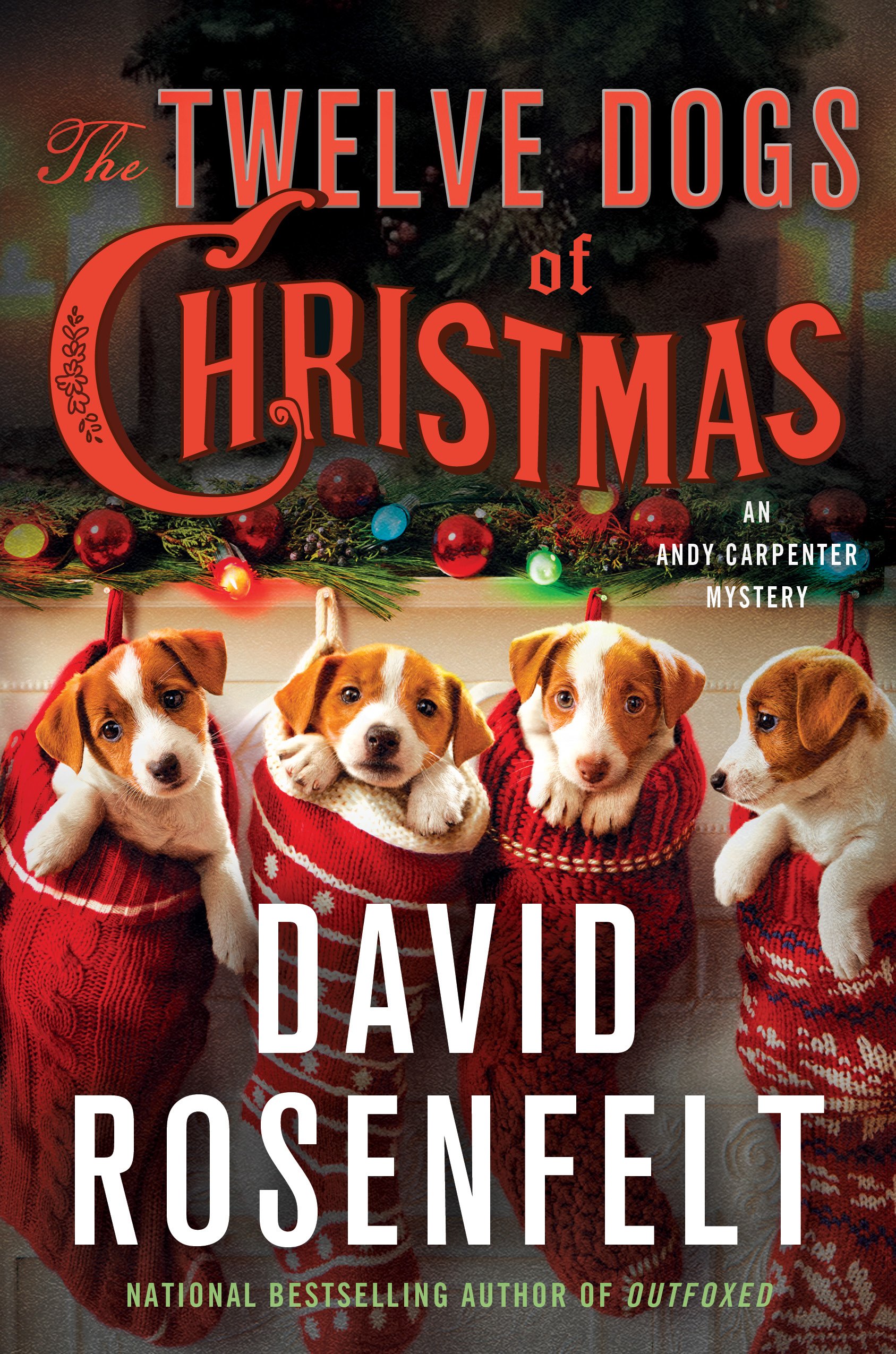 The Twelve Dogs of Christmas: An Andy Carpenter Mystery (An Andy Carpenter Novel Book 15)
