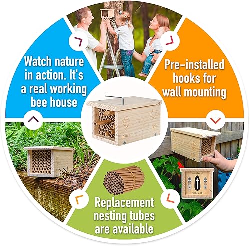 Miniatura 5 de Rivajam Construye un proyecto de carpintería de bricolaje de casa de abejas | Caja de anidación de madera solitaria Mason Bee House Kit y