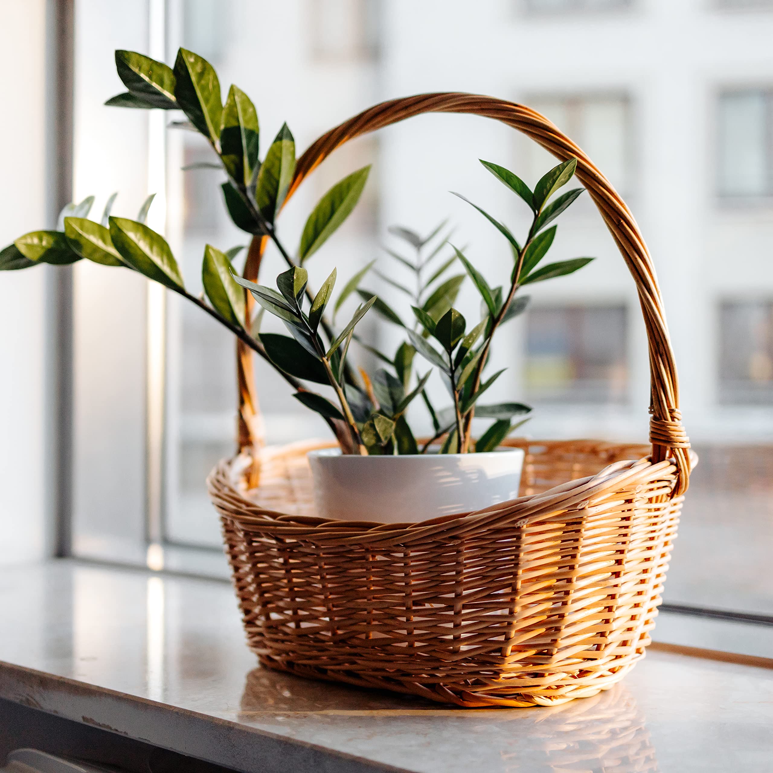 Creative Home Cesta Pascua de Mimbre Grande Ovalada con Asa 37x30x37cm | (+/- 1 cm) | Regalo Picnic Plantas Almacenaje Decoración Semana Santa | Tejida a Mano | Color Natural | Multiuso y Duradera