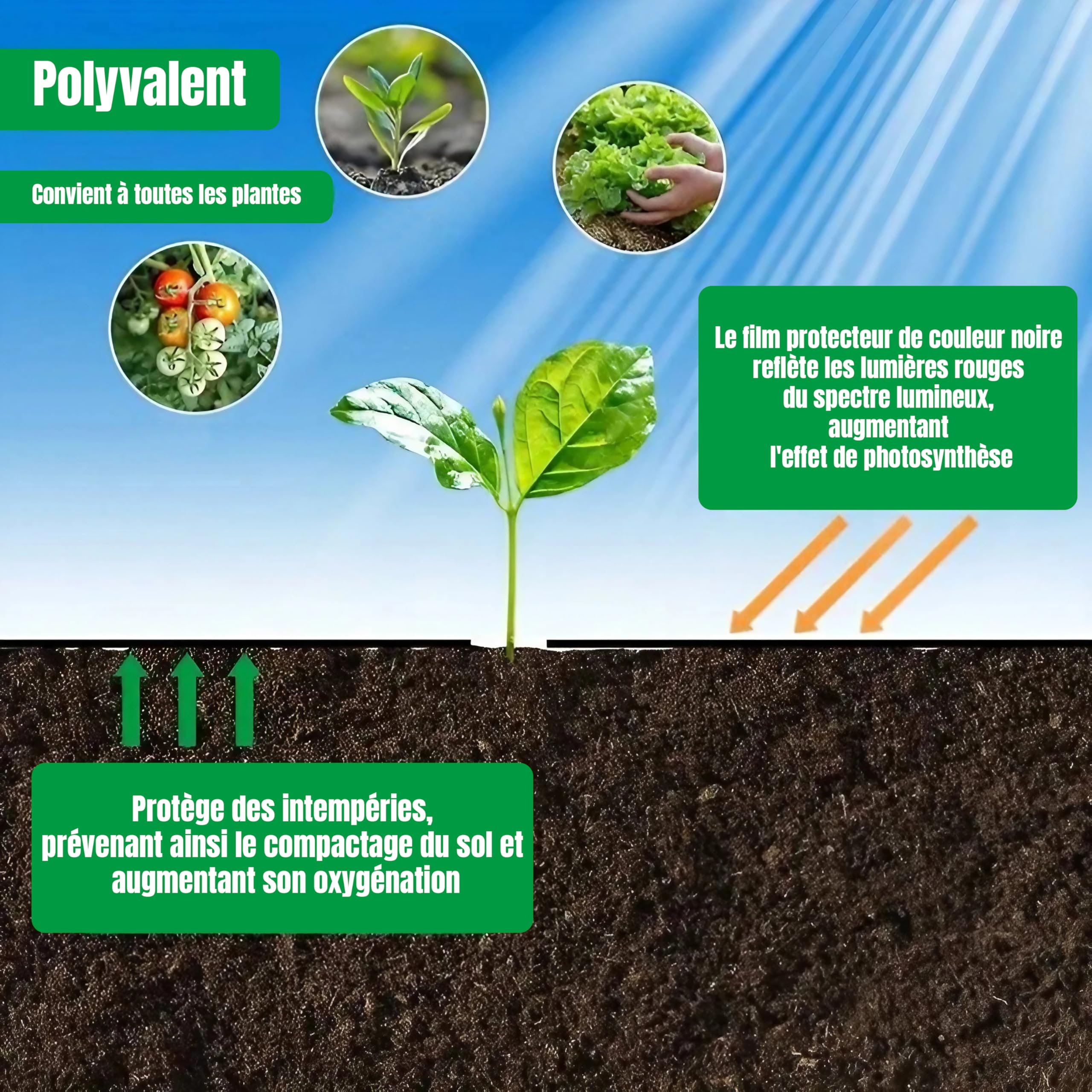 ESTO Toile de paillage sans trou, différentes mesures jusqu'à 1000 mètres, bâche noire en film de paillage élastique tissée anti-mauvaises herbes 100 cm/100 m
