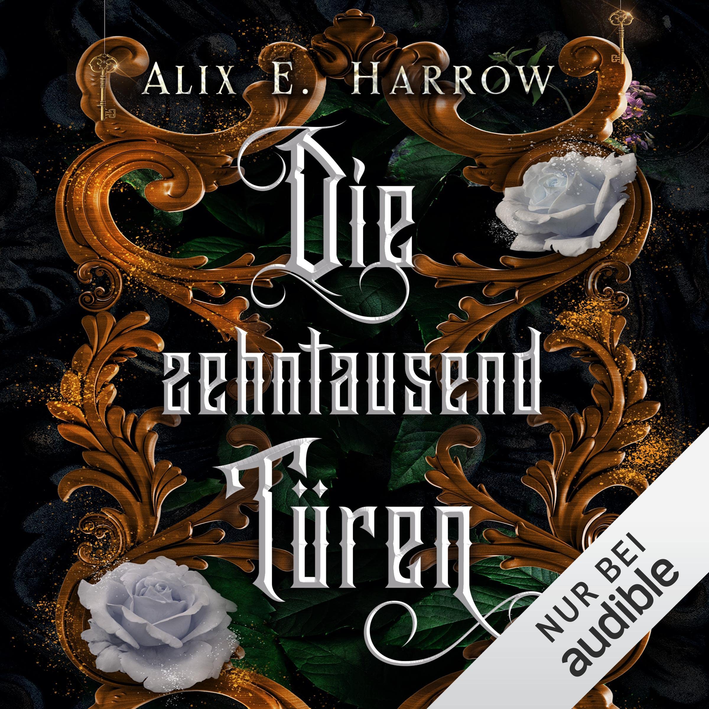 Cover art for Die zehntausend Türen