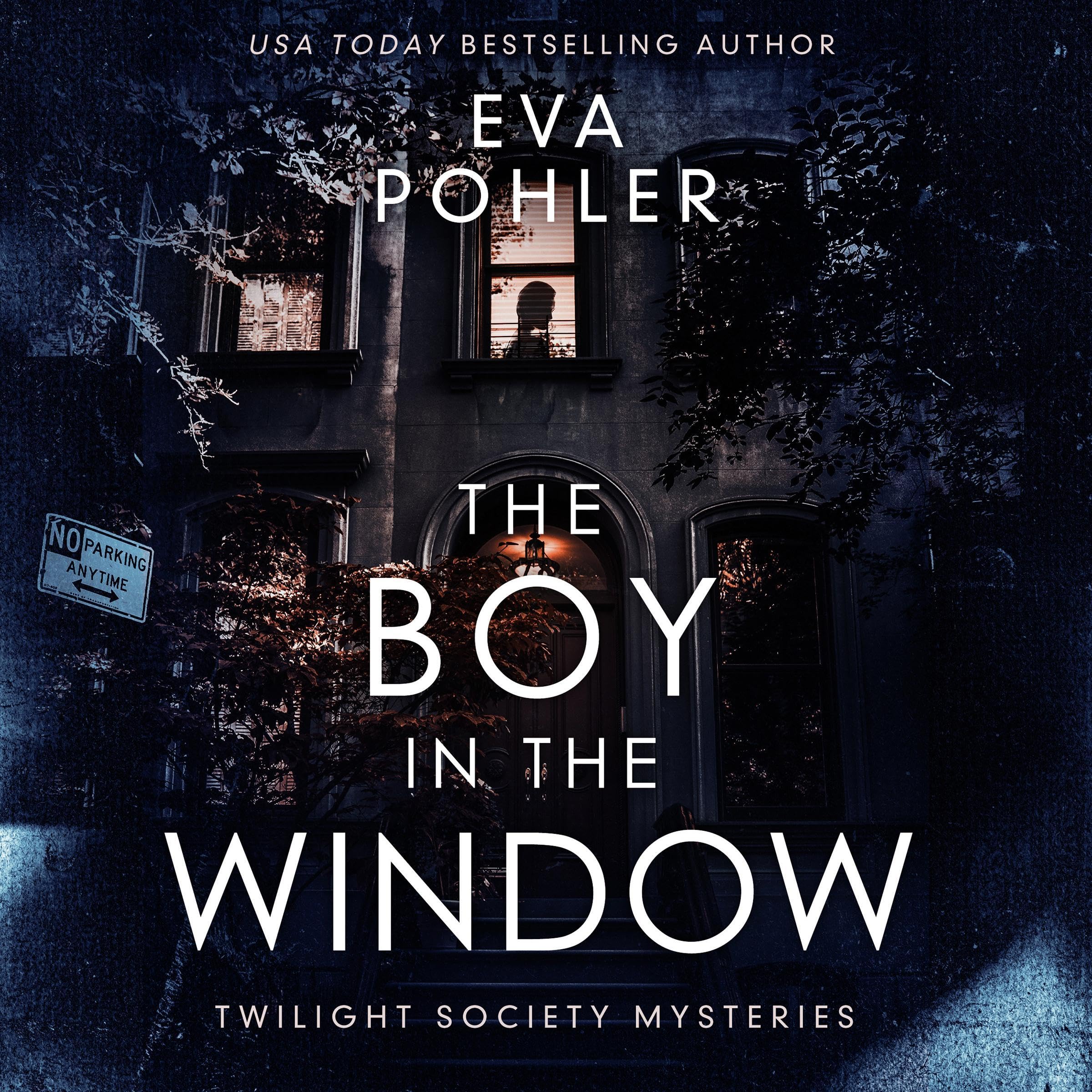 Cover art for The Boy in the Window