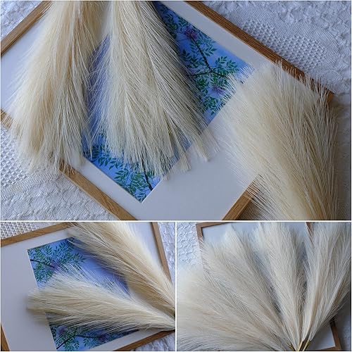 Miniatura 3 de Vokenforu Hierba de las pampas, 6 tallos pequeños, de 18 pulgadas, no se desprenden, de hierba de pampas, decoración bohemia para sala de estar,