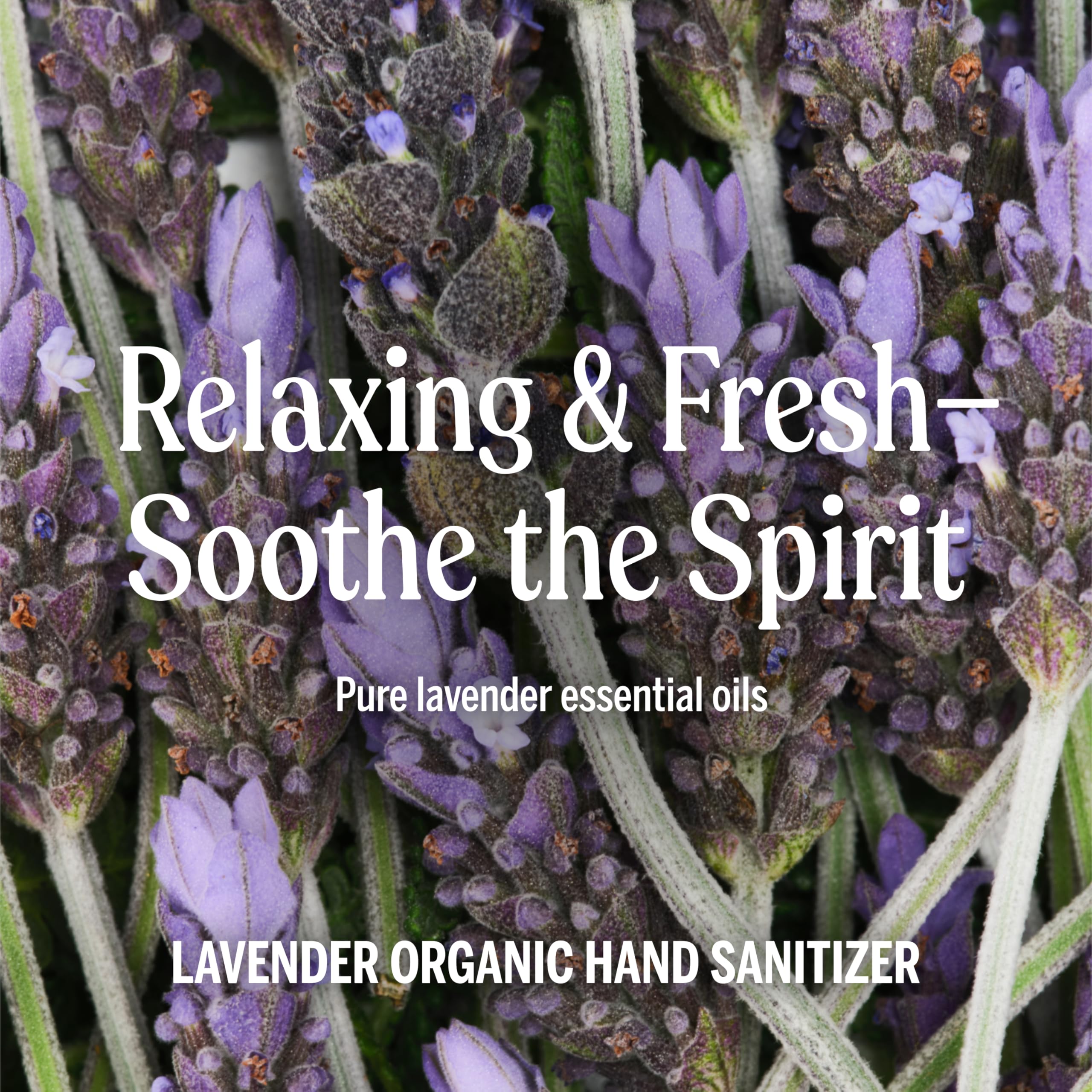 Amazon.com: Dr. Bronner's - Organic Hand Sanitizer Spray (Lavender