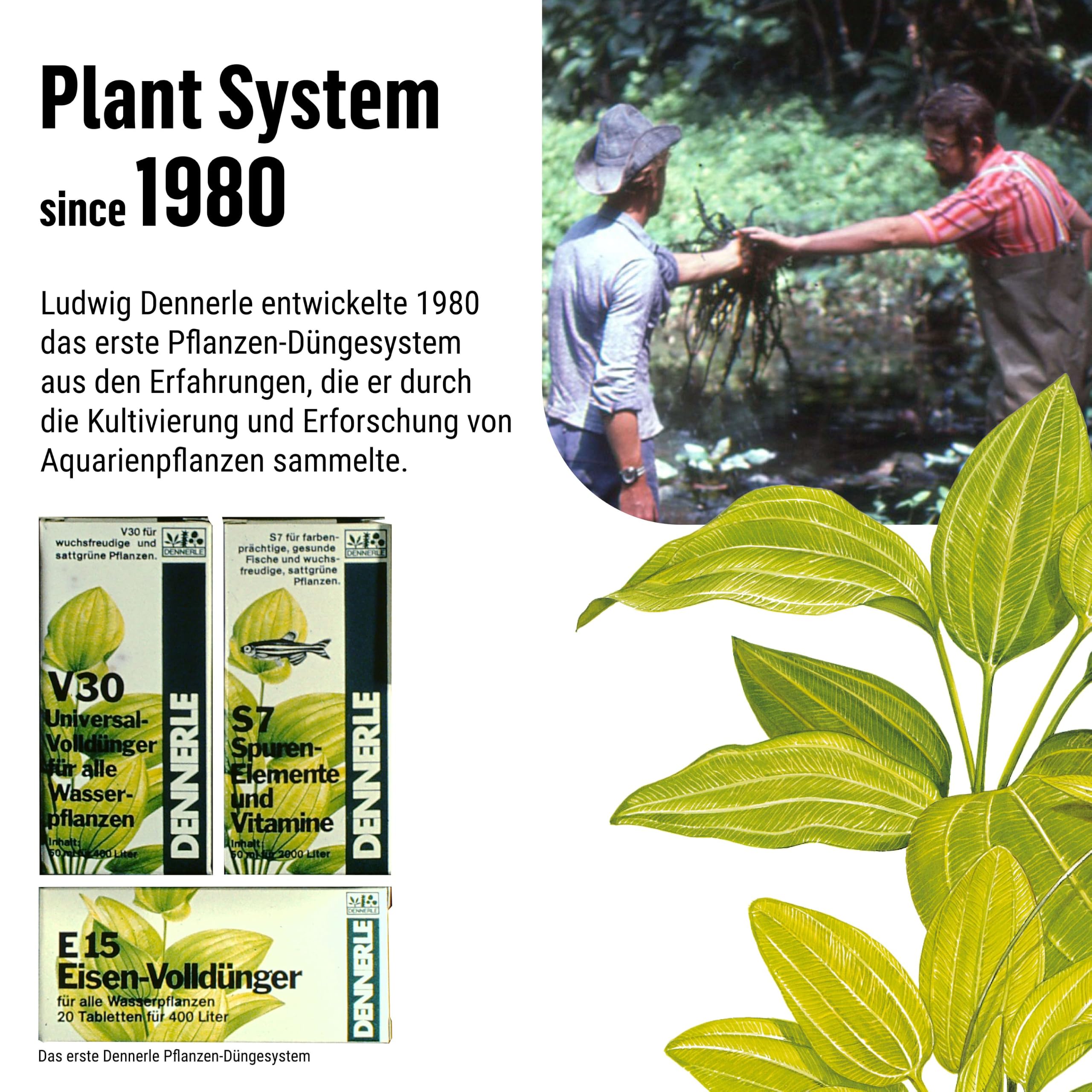 Dennerle Plant System E15, 250 ml - Flüssiger Eisendünger | Für Wasserpflanzen im Aquarium, gezielte Eisenversorgung, 250 ml