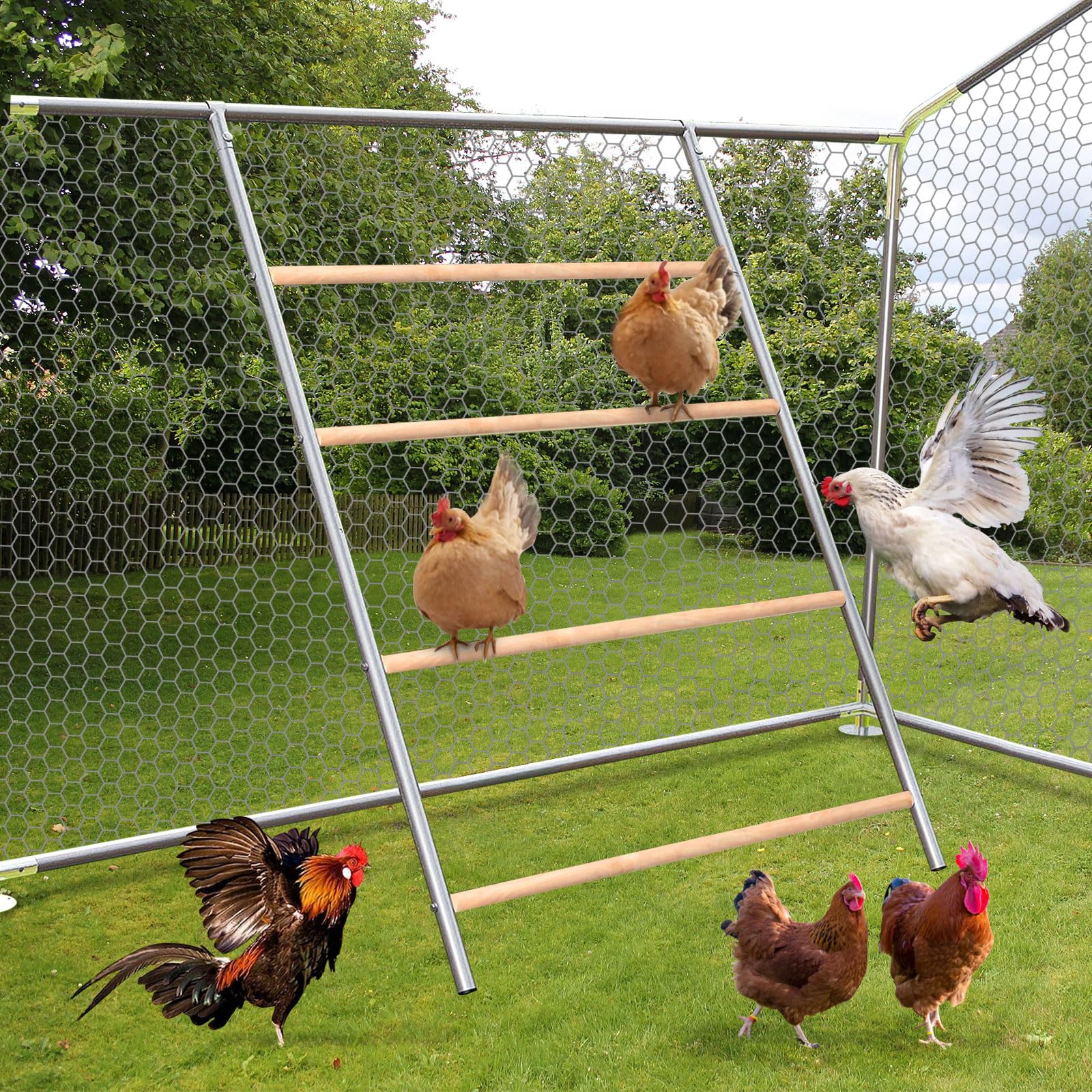 Picture Idea: Snapklik Com Chicken Perch Wooden Rack Adult Chicken Perch Wooden