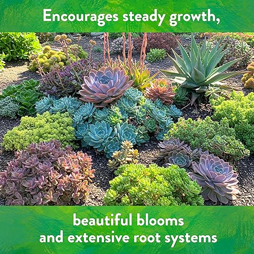 Miniatura 7 de Down to Earth - Mini caja de fertilizante natural de cactus y suculentas 2-4-8, 1 libra