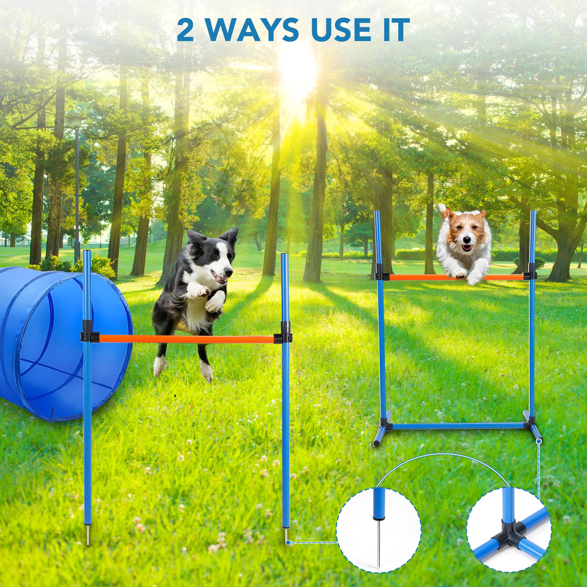 Agility KATZEIST Dog Agility Course Backyard Set Do Training