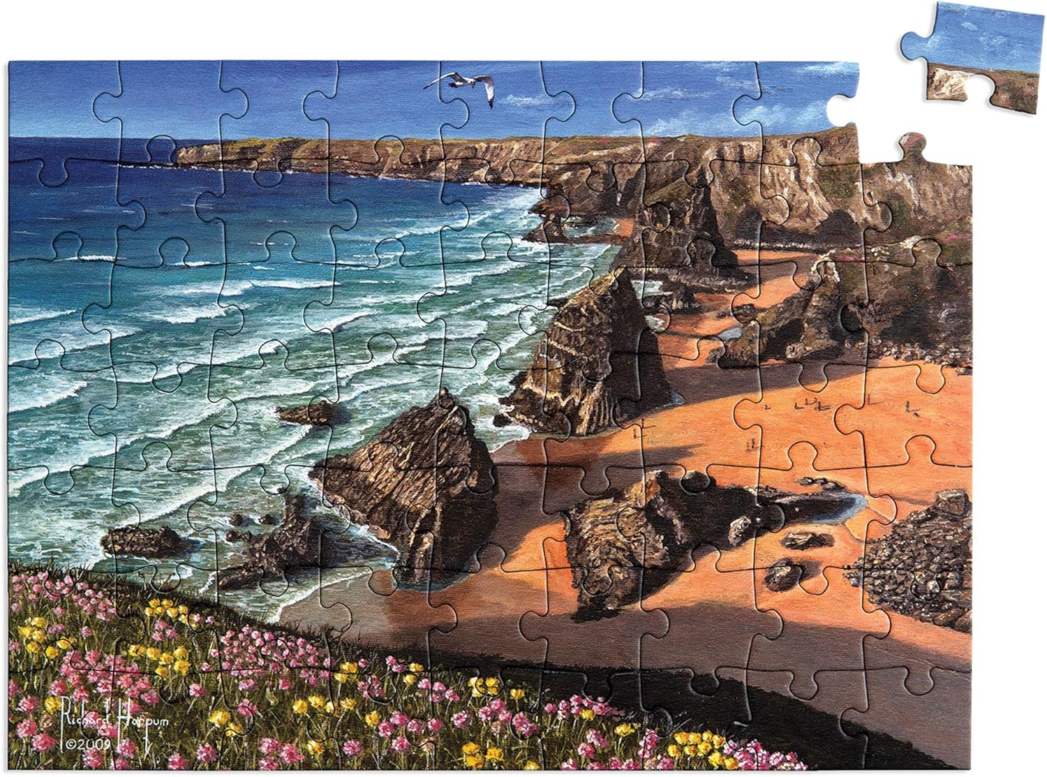Relish 63 Piece Wild Coast Dementia Jigsaw Puzzle Dementia Activities