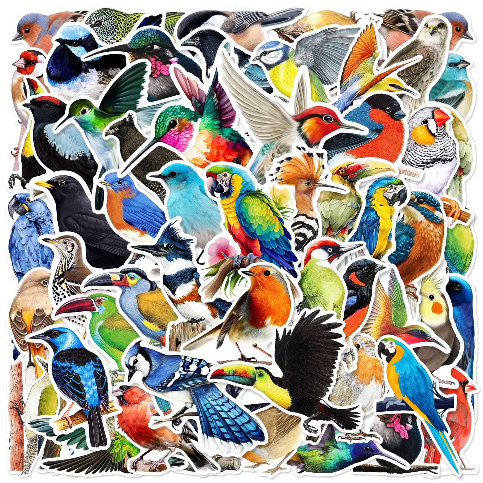 50PCS Watercolor Bird Stickers for Water Bottles Laptop Notebook Refrigerators Computer Phone Skateboard Luggage Journal Scrapbook Helmet,Cute Cartoon Birds Waterproof Decals for Adult Kids Teen