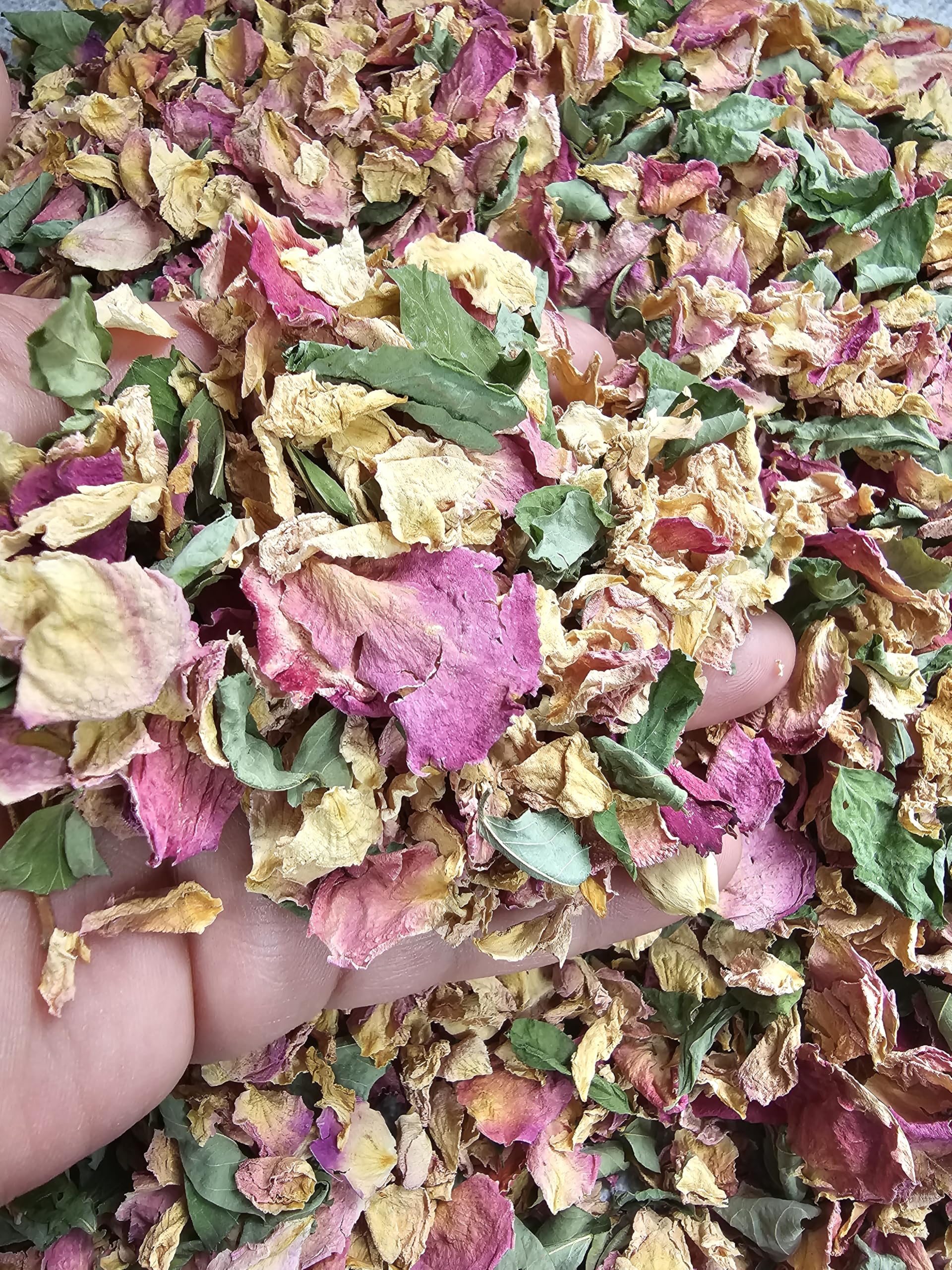 GREEN & BEIGE BLUSH ROSE PETALS Wedding Confetti Dried Flower Petals Real Natural Dried Flower Petals Celebrations Biodegradable Confetti