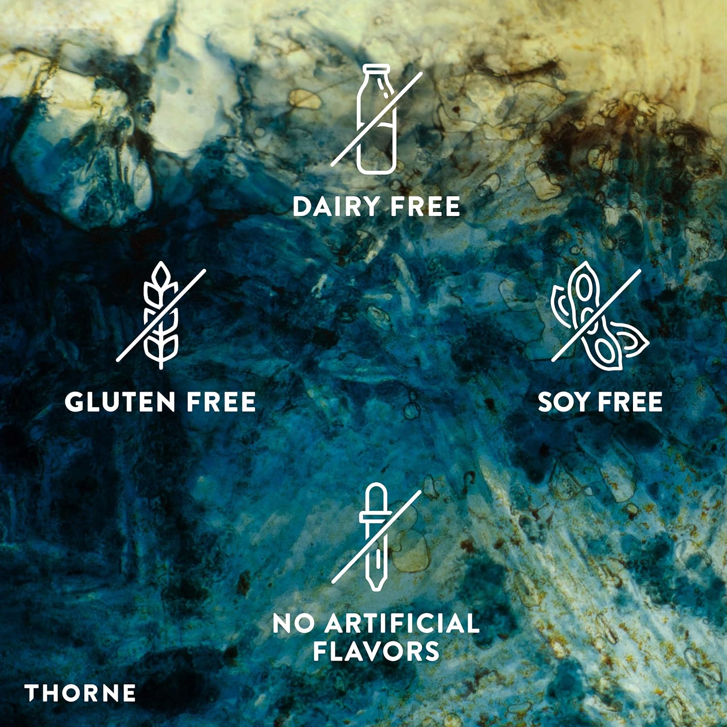 Thorne BioMins - Comprehensive Multi-Mineral Formula with Zinc, Calcium, Copper and Iron - Gluten-Free, Soy-Free, Dairy-Free - 120 Capsules : Health & Household