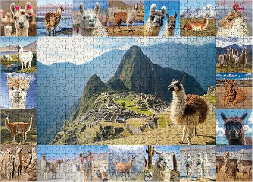 MyPuzzle Llamas and Alpacas - Collage - Rompecabezas prémium de 500 piezas para adultos
