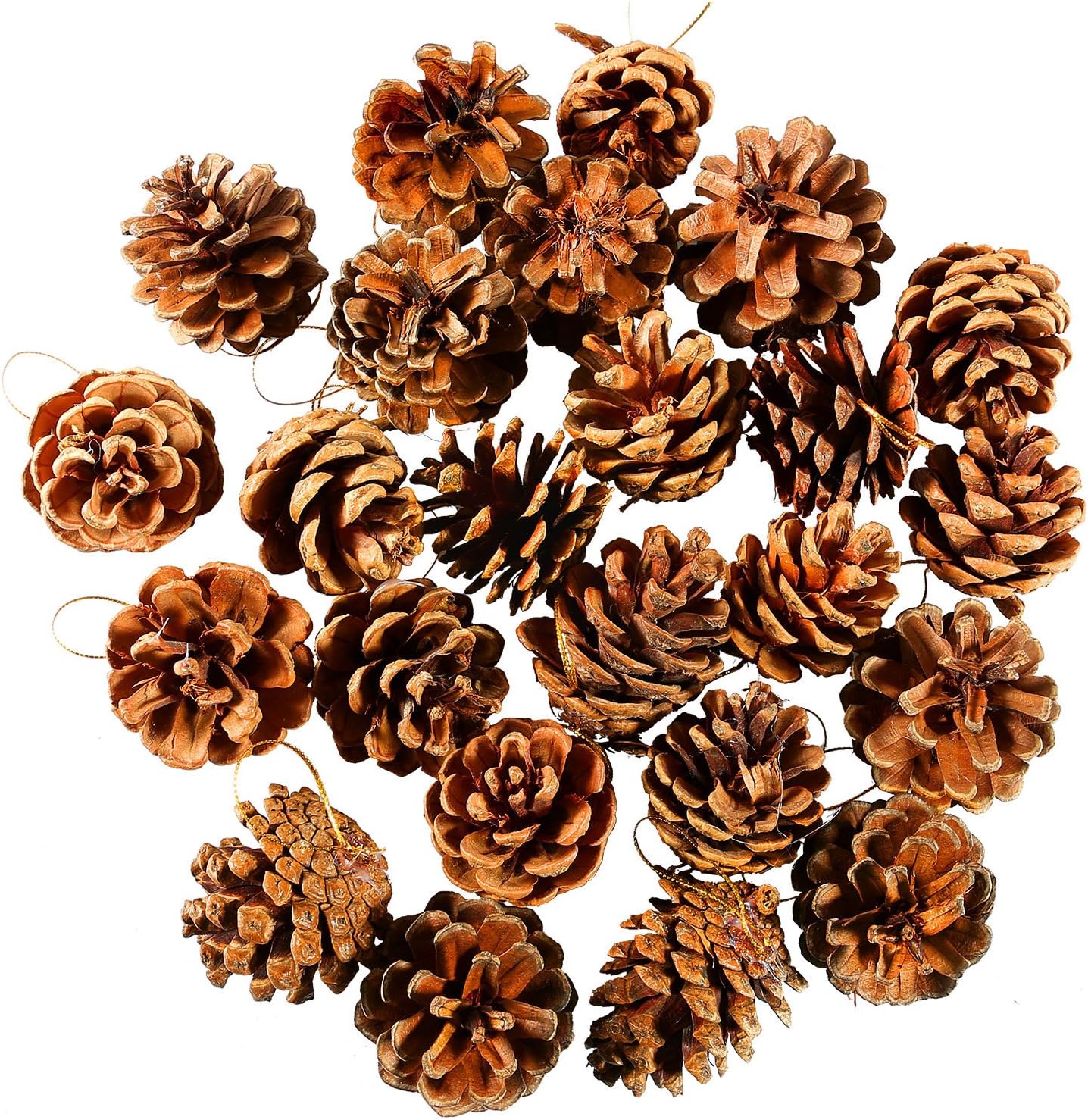 pressa per l'ornamento dello champagne