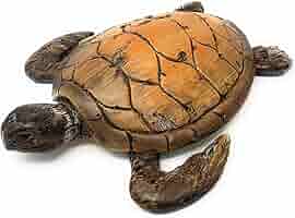 Globe Imports Loggerhead Sea Turtle Resin Statue - Amazon.com