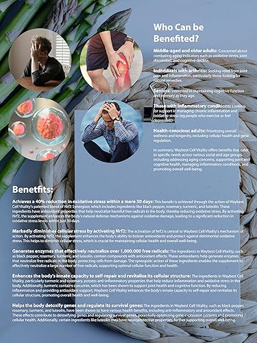 Miniatura 3 de Waybest - Suplemento de bienestar antienvejecimiento activador de vitalidad celular NRF2, 60 cápsulas de Waybest, 5 ingredientes fitonutrientes