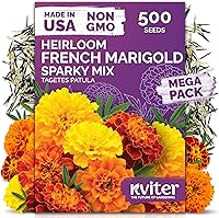 Vista 38 de KVITER 25 semillas de algodón blanco para plantar (Gossypium hirsutum) – Planta de algodón real, semillas de algodón para cultivo, semillas