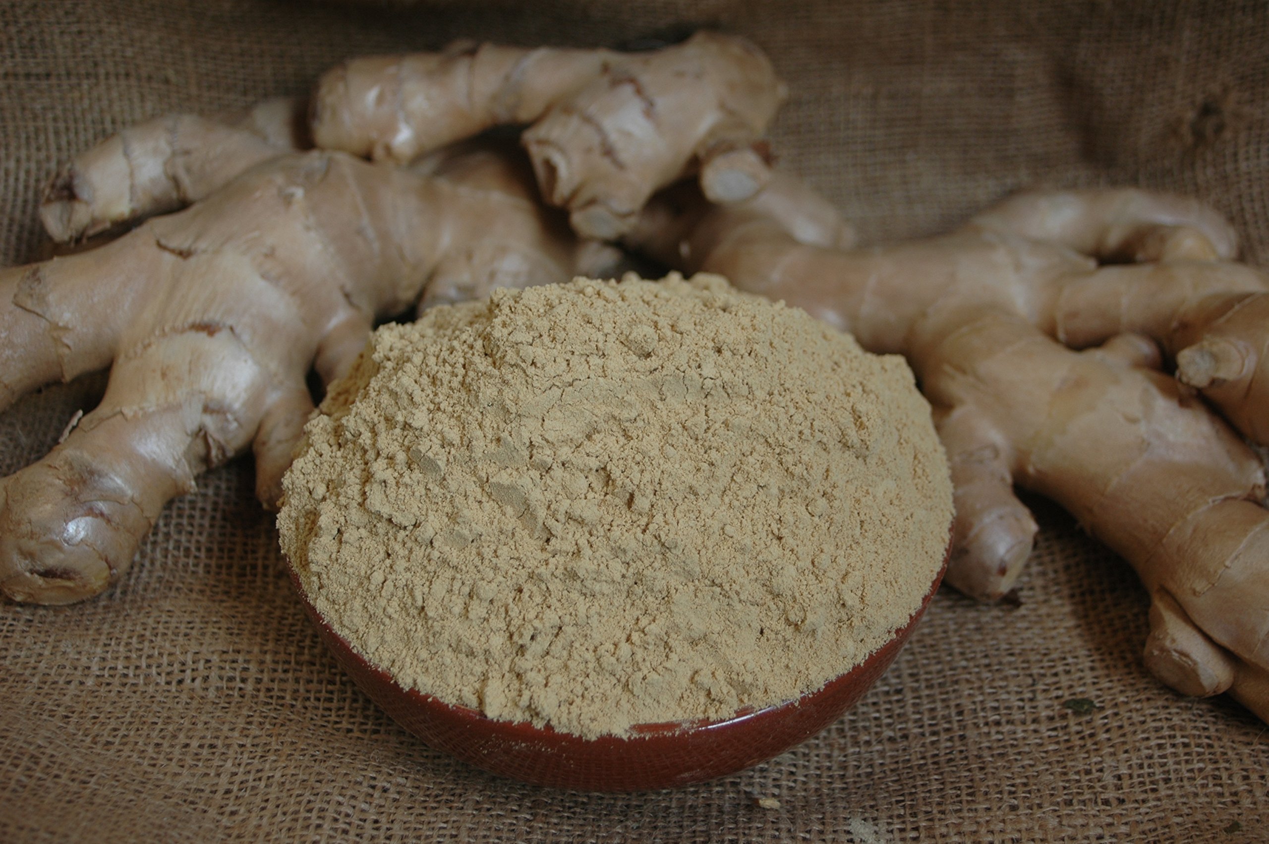 zenzero in polvere 100 g