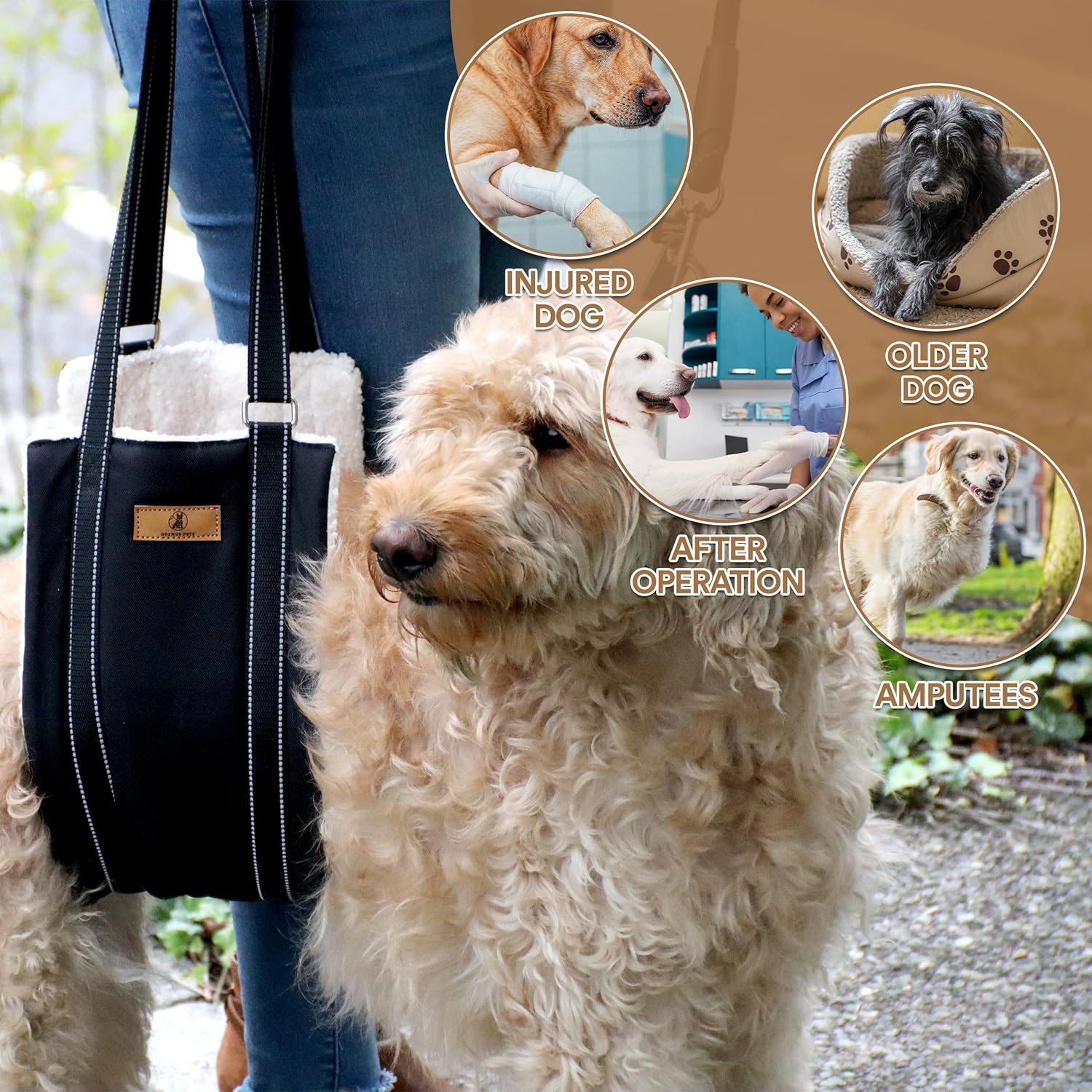 Dog Lift Harness – Adjustable Dog Sling for Large Dogs Hind Leg Support with Handle – Harness for Dogs with Weak Legs, Seniors, Injured, Disabled – Thick Plush Padding (Large)