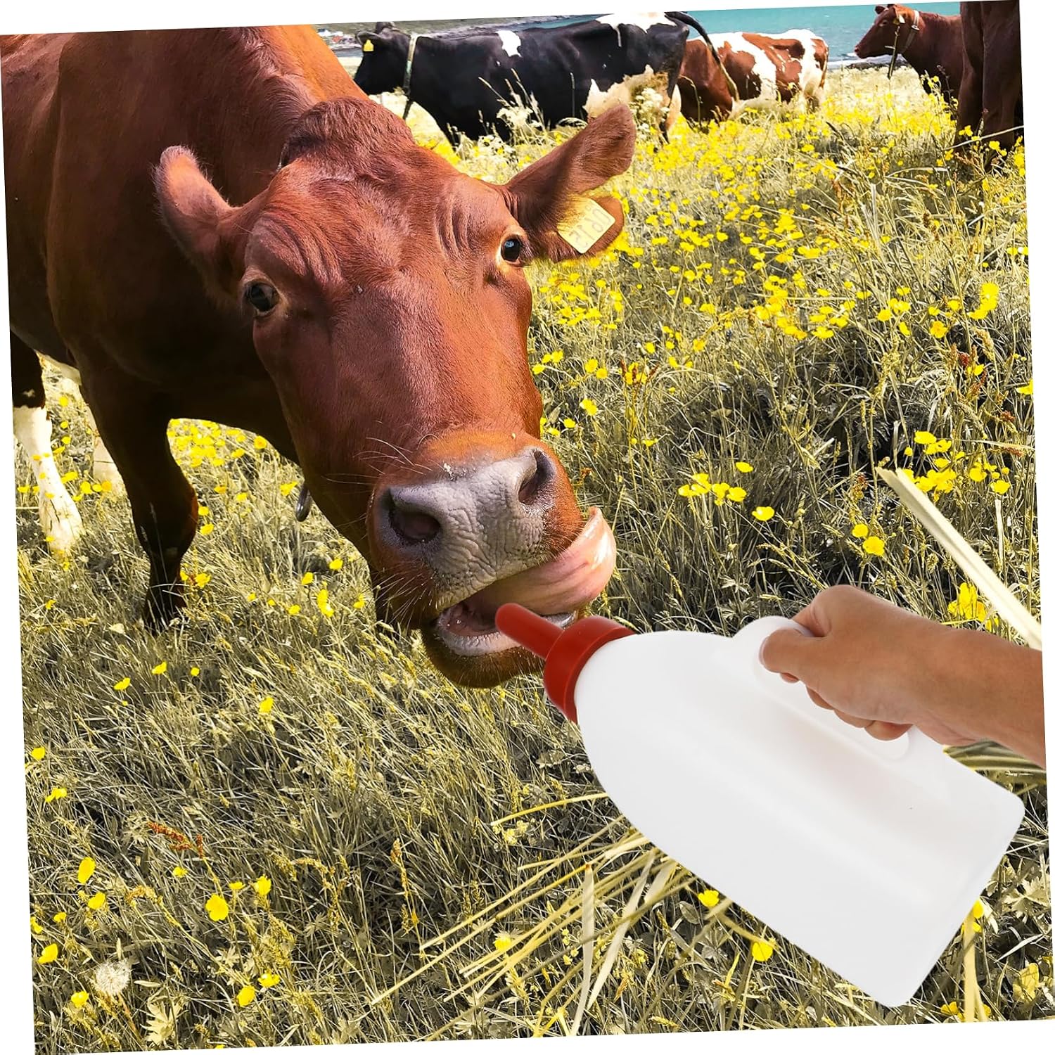 Pet Nursing Bottle for Kitten Puppy Newborn Animal Feeding Bottle Boilable Nipples