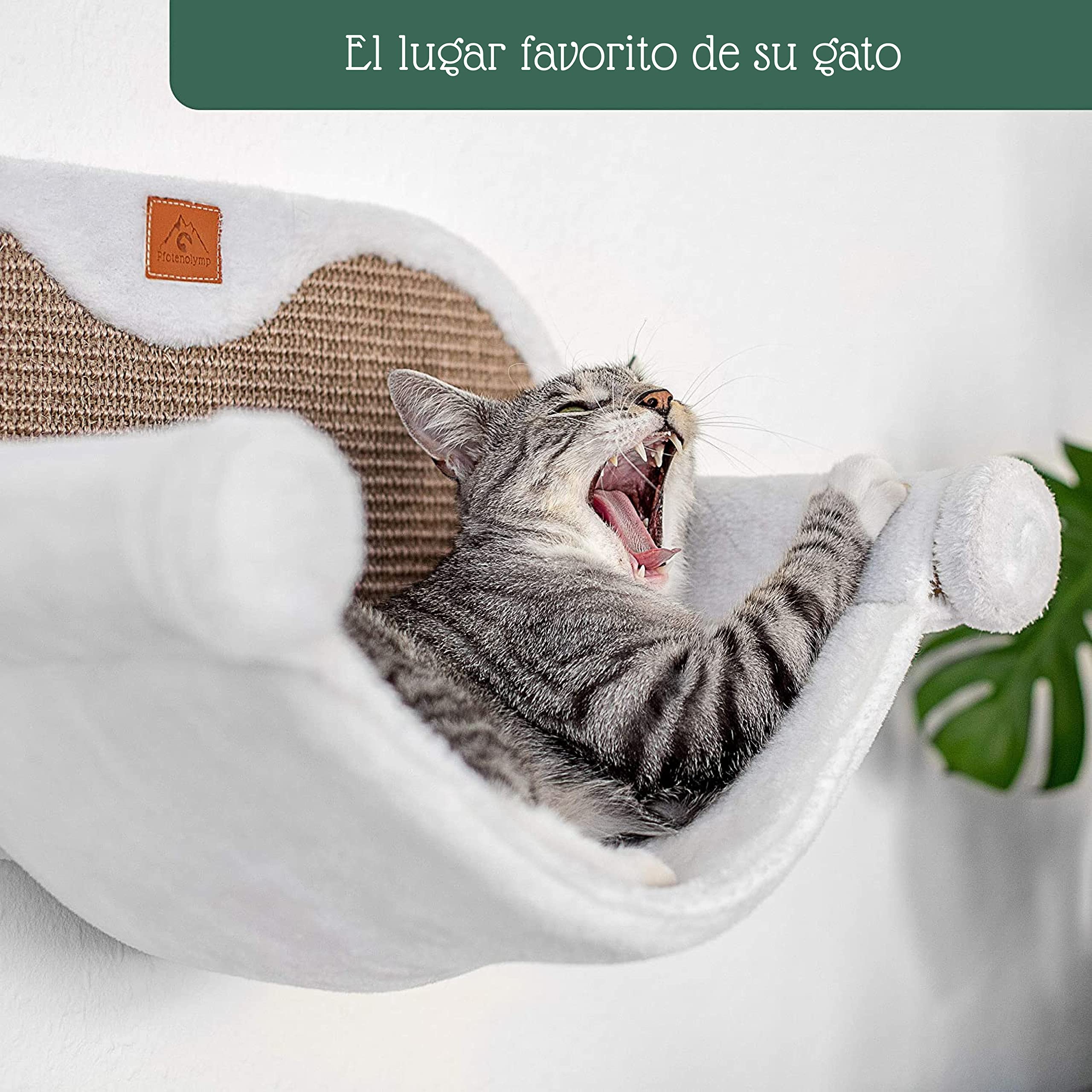 Pfotenolymp® Hamaca para Gatos de hasta 10 kg | Montaje en Pared | Alta Estabilidad | Horas de diversión contra arañazos | higiénico y fácil de Limpiar | Respetuoso con el Medio Ambiente | fácil