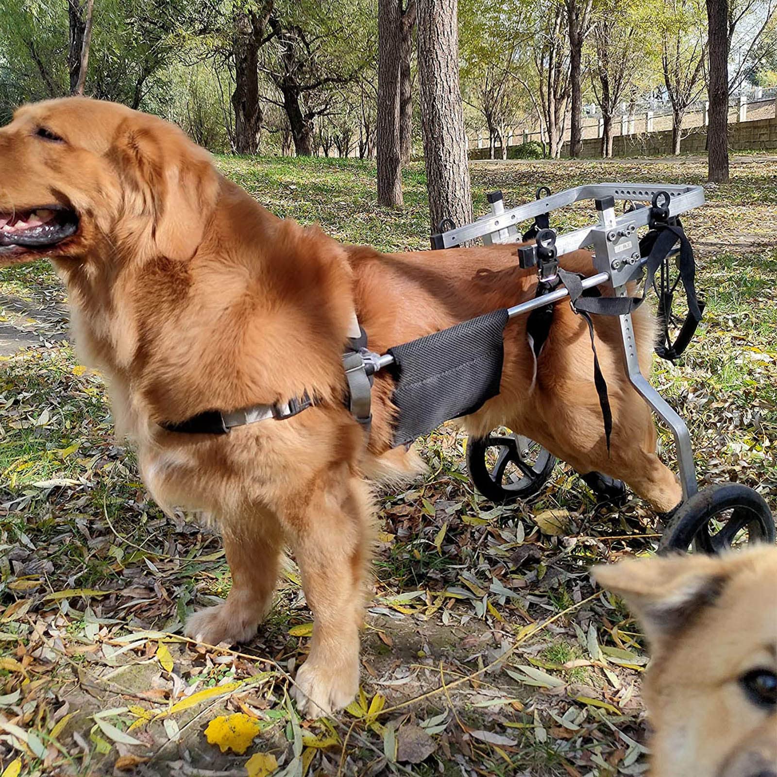 Carrellino Cane Disabile Grande per Cani di Taglia Grande, Carrello Cani Disabili Pet Sedia a Rotelle, Zampe Posteriori di Riabilitazione, Cane Carrello, Ruote (Size : Large 2)