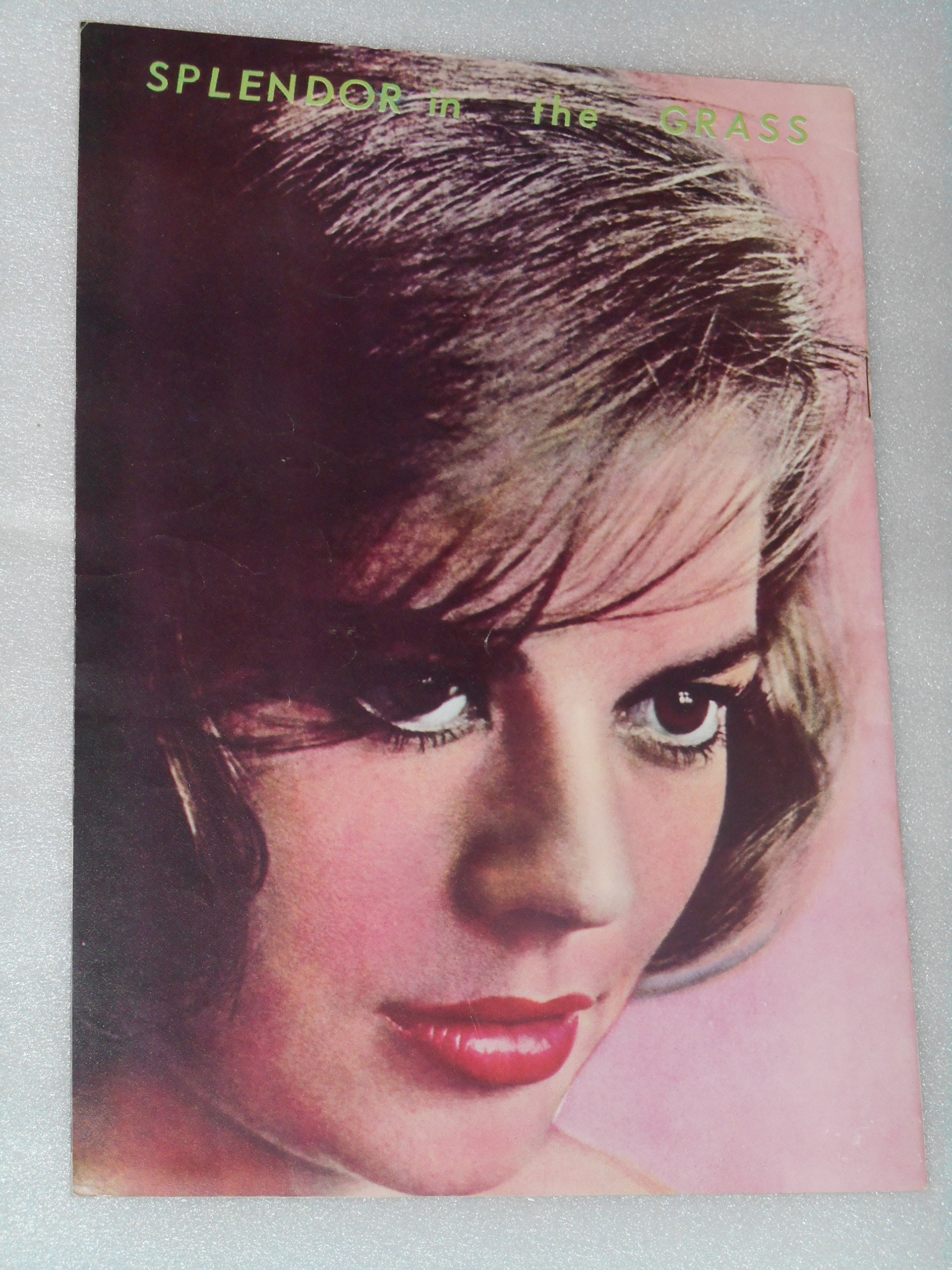 【中古】1961年初版映画パンフレット 草原の輝き エリア・カザン監督 ナタリー・ウッド ウォーレン・ビーティ 東京劇場の劇場案内入り初版映画パンフレッ Amazon.co.jp: 1961年映画パンフレット 草原の輝き 東京劇場の劇場案内