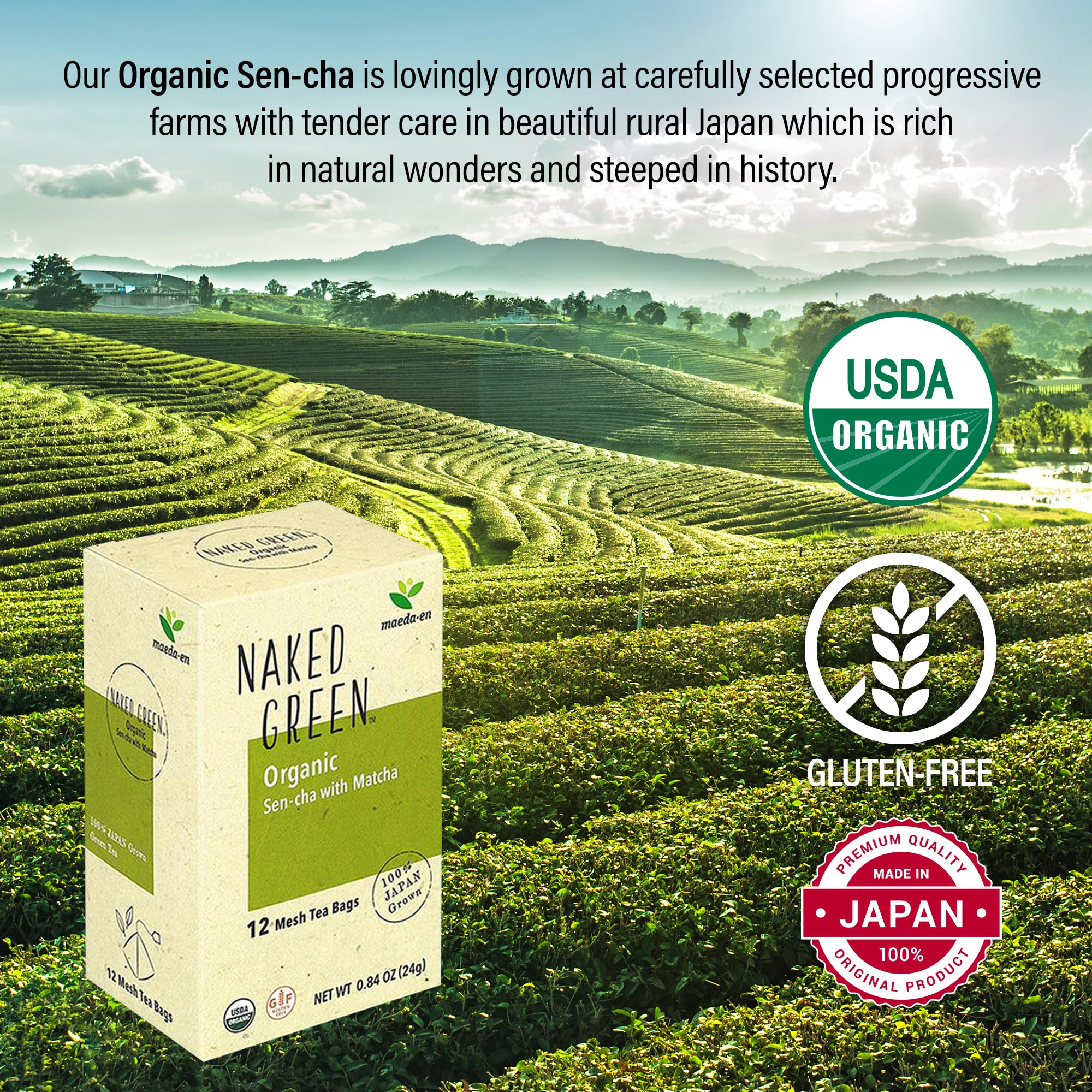 MAEDA-EN NAKED GREEN Organic Sen-cha with Matcha 12 Tea Bags Hot or Cold Drink Green Tea Japanese Origin — view 3