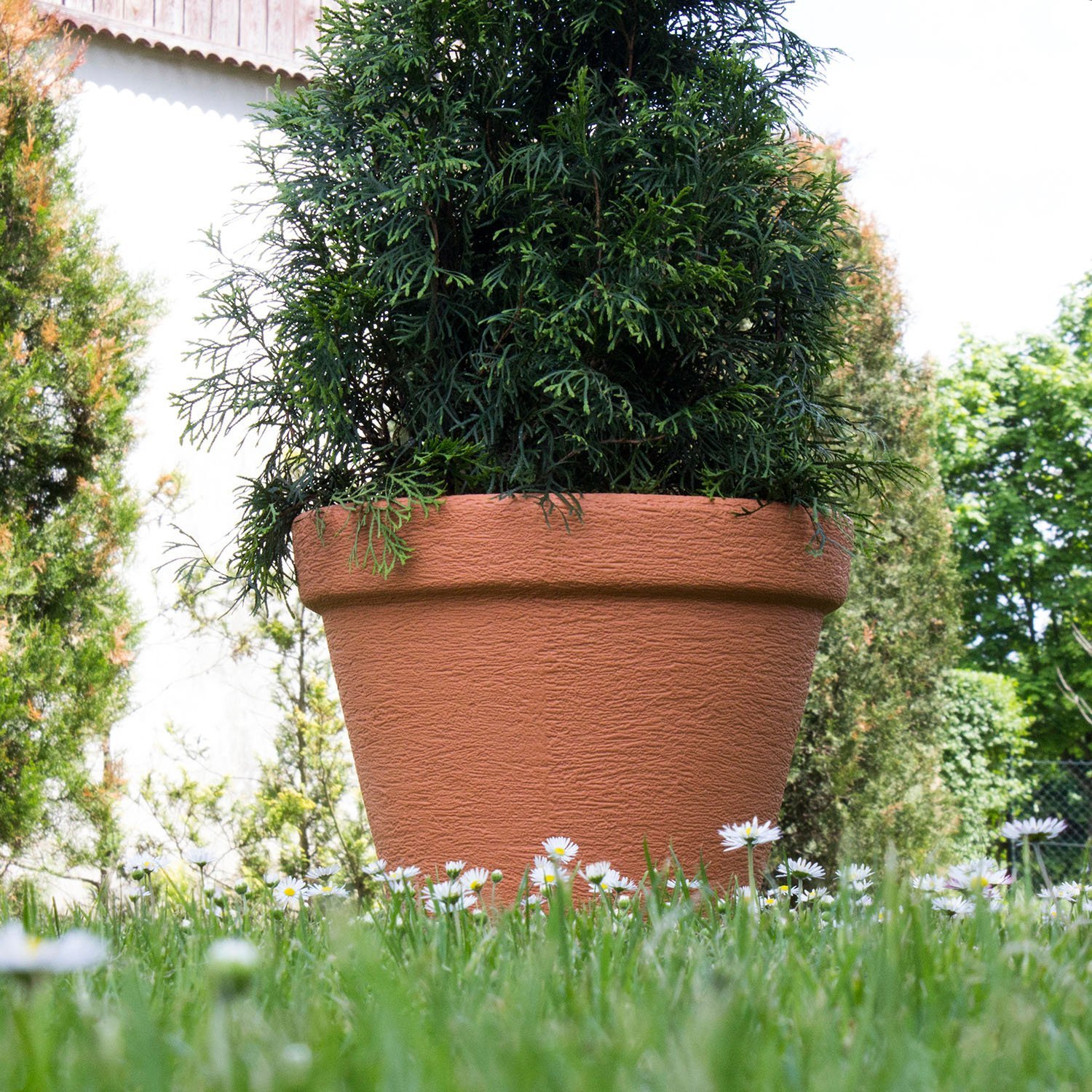 Prosperplast Pot de Fleurs Classique 67L, Terre Cuite 580x580x470 mm