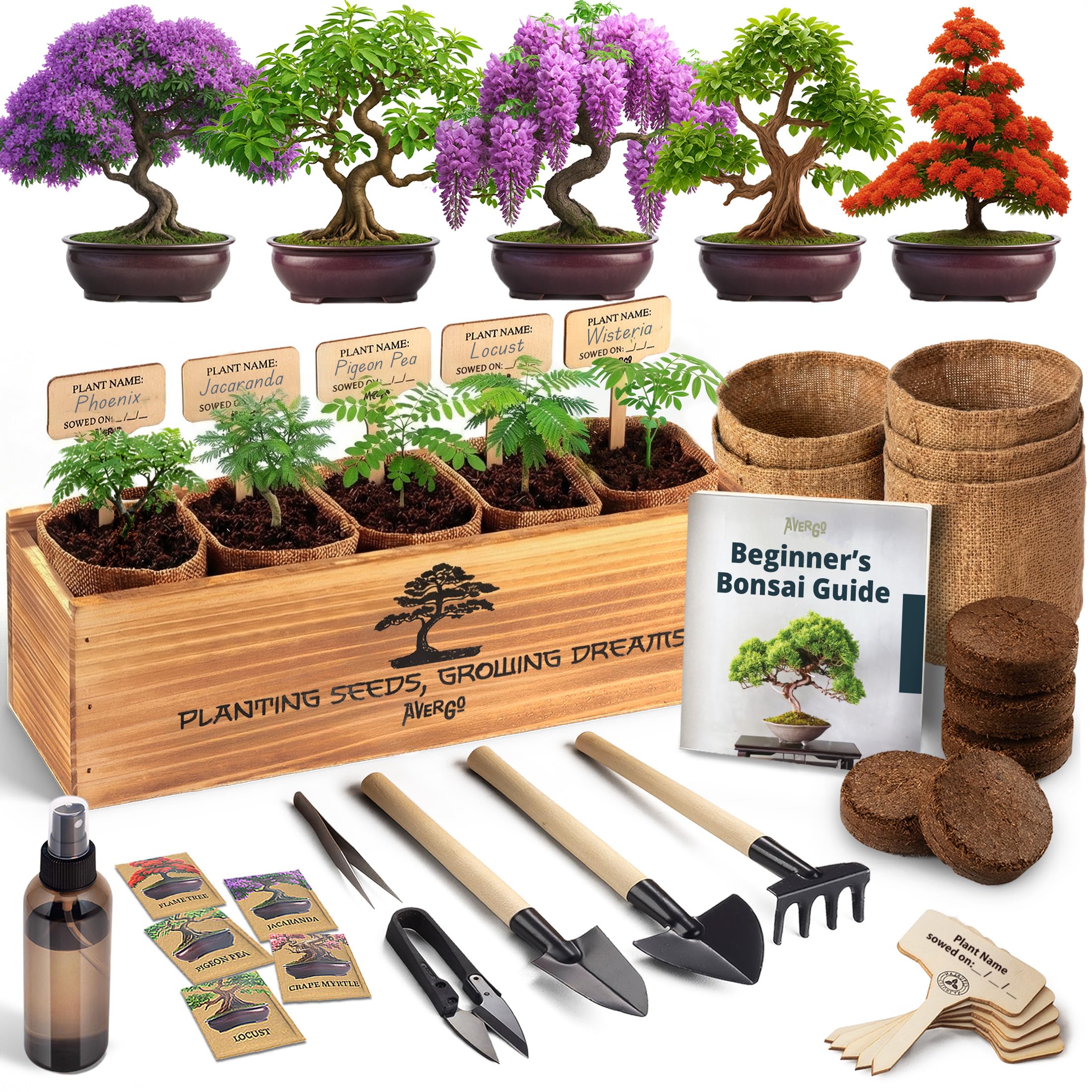 AVERGO Bonsai Tree Kit Deluxe