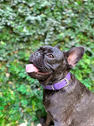 Miniatura 7 de Collar clásico para perro Tuff Pupper para toda la vida, resistente y duradero, más fuerte que la piel, impermeable y sin olor