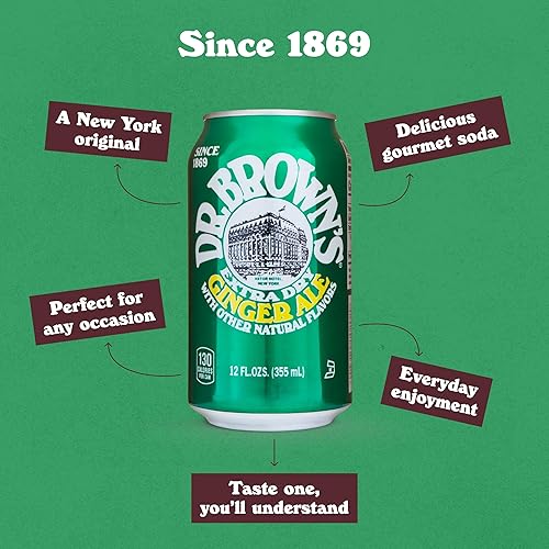 Miniatura 4 de Dr. Brown's Ginger Ale Soda – A New York Original – 24 latas de refrescos, kosher, gaseosa gourmet – Soda Ginger Ale – 24 latas de 12 onzas