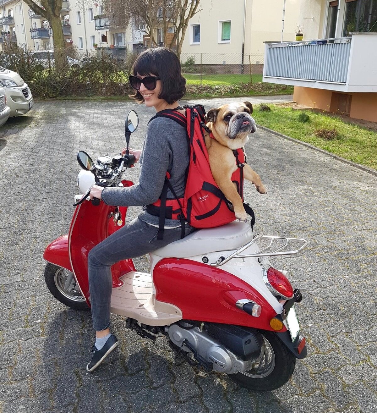 Bolsa para Perros Mochila para Perros Portador de Perros Arnés de Transporte para Perros Caja para Perros 15-30kg