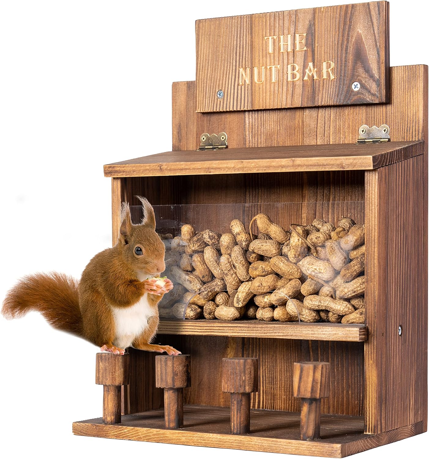 COLEBA Squirrel Feeder Table The Nut Bar, Wooden Squirrel Picnic Table